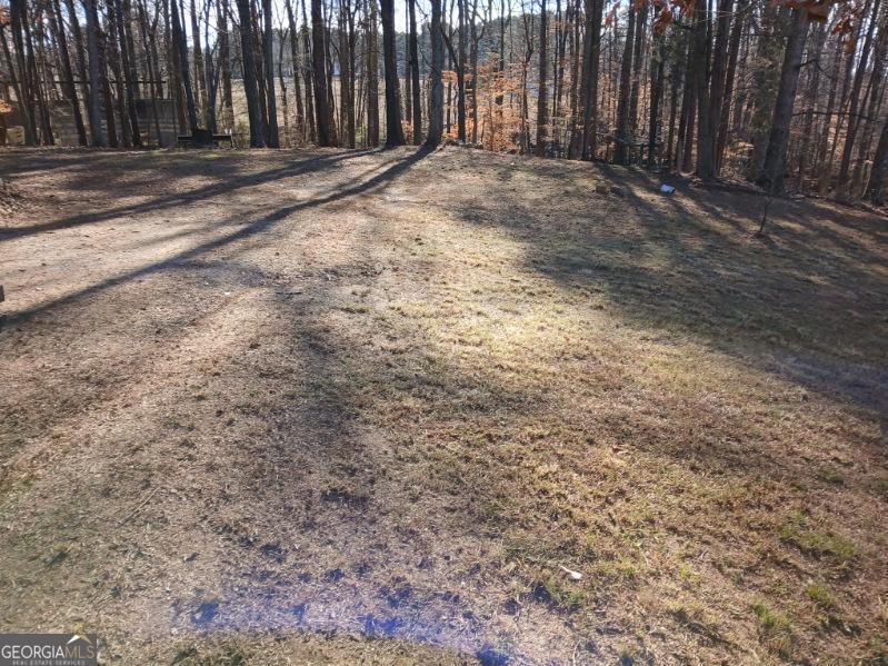 1855 S Flat Rock Road Property Photo 42
