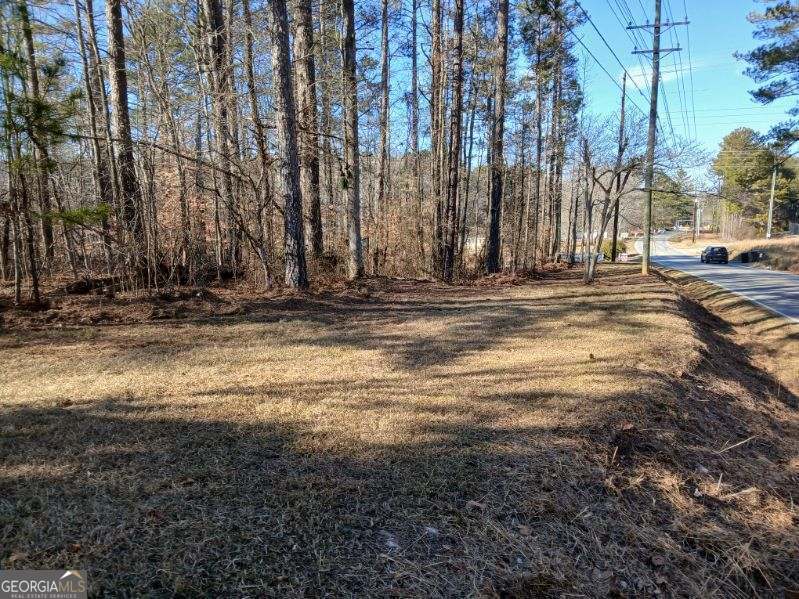 1855 S Flat Rock Road Property Photo 43