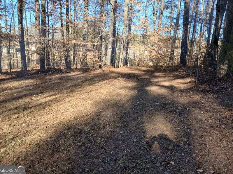 1855 S Flat Rock Road Property Photo 44