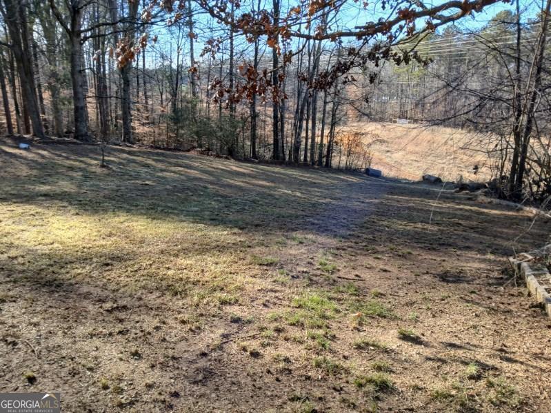 1855 S Flat Rock Road Property Photo 45
