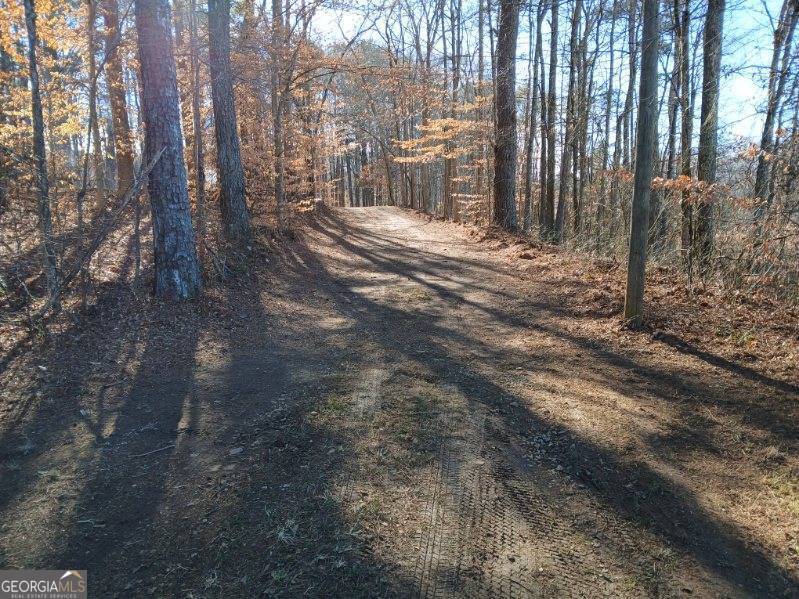 1855 S Flat Rock Road Property Photo 49