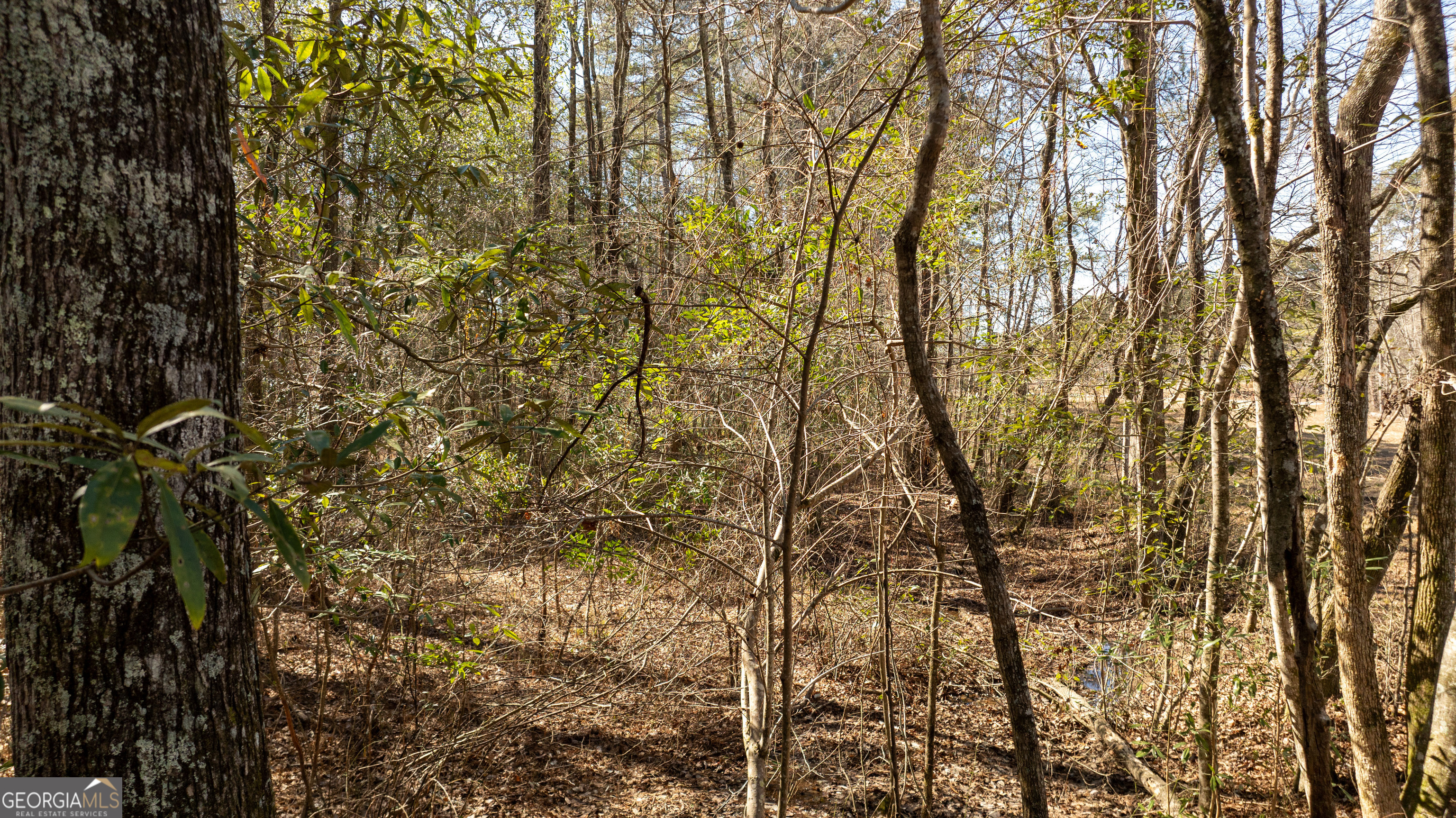 0 Thomas Powers Road Property Photo 15