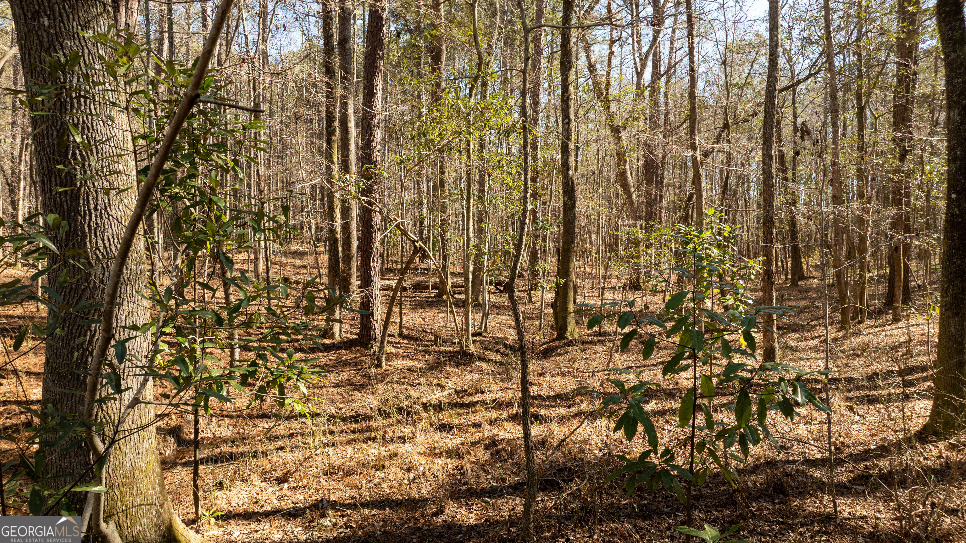 0 Thomas Powers Road Property Photo 16