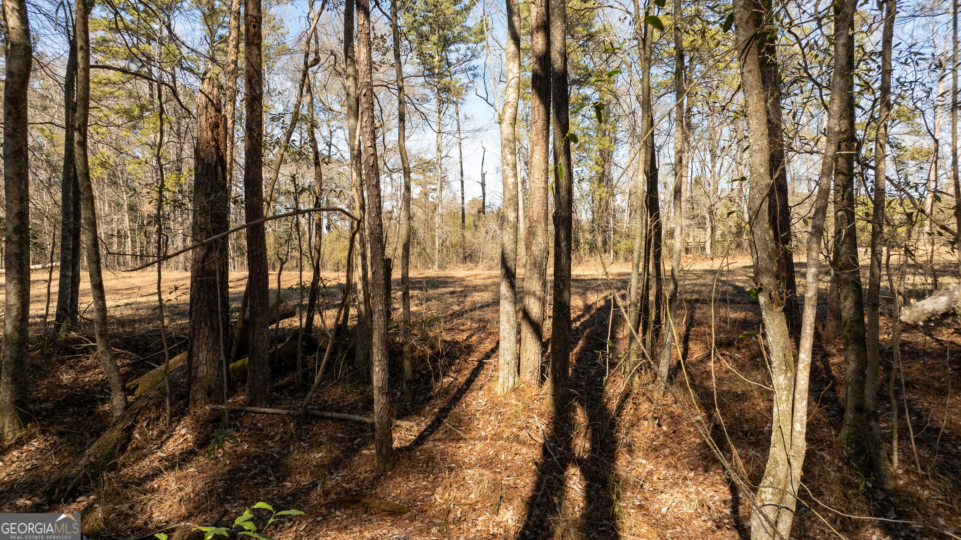 0 Thomas Powers Road Property Photo 18