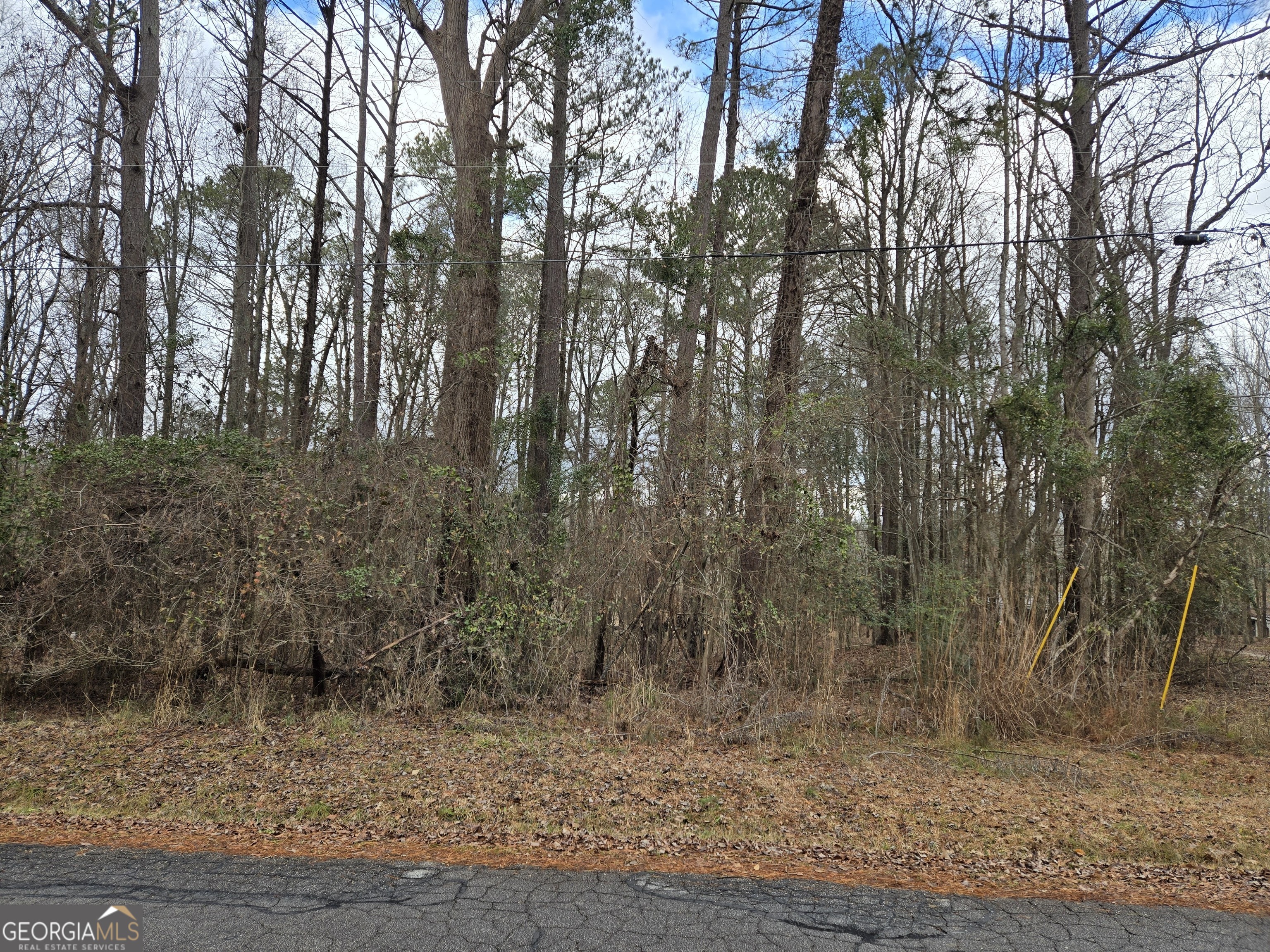 Lot 24 Blue Springs Drive Property Photo 2
