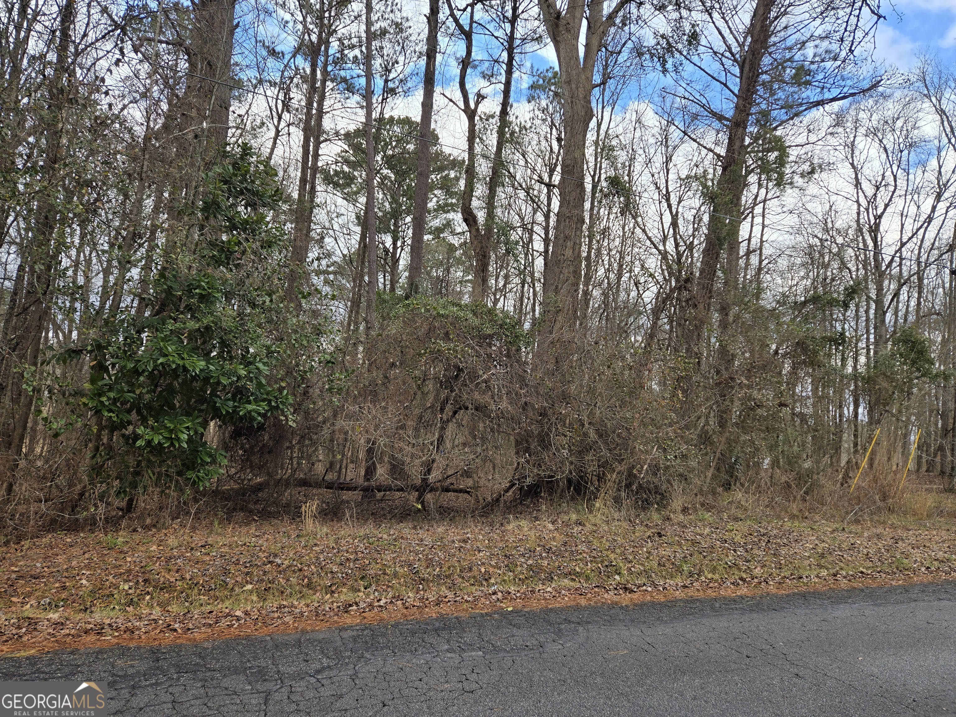 Lot 24 Blue Springs Drive Property Photo 3