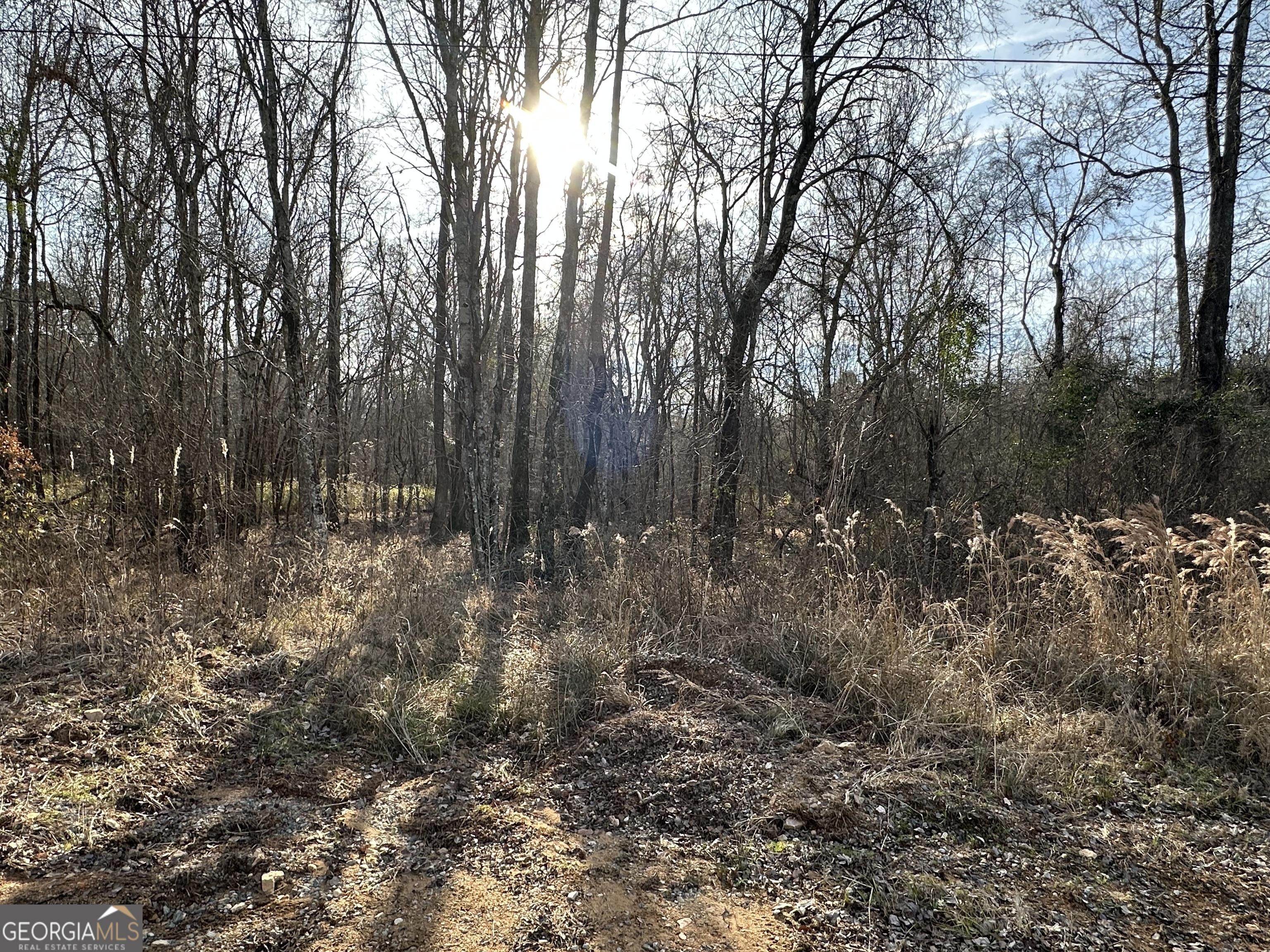 0 Cyler Road Property Photo