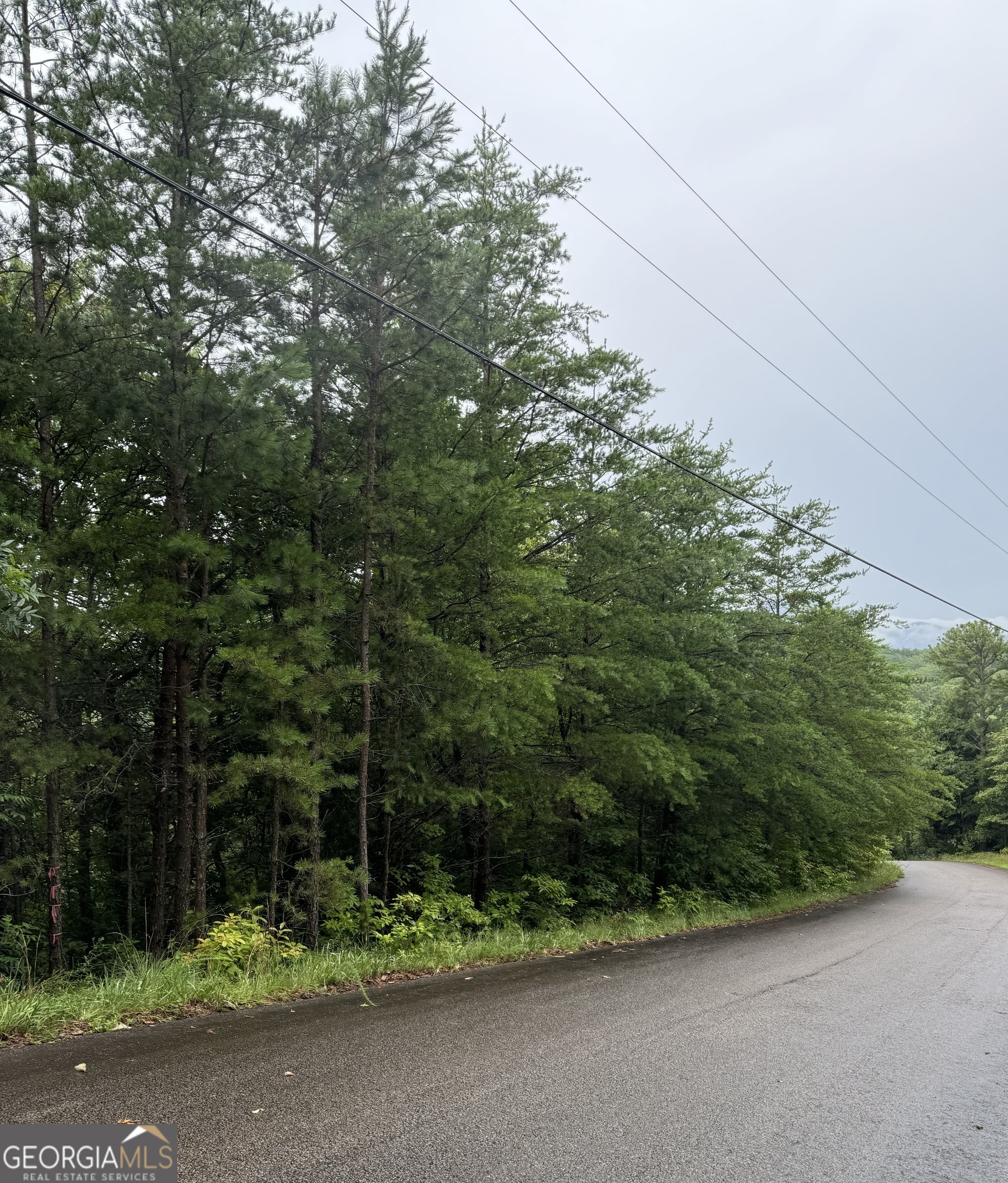 Lot 37 Eagle Talon Trail Property Photo 3
