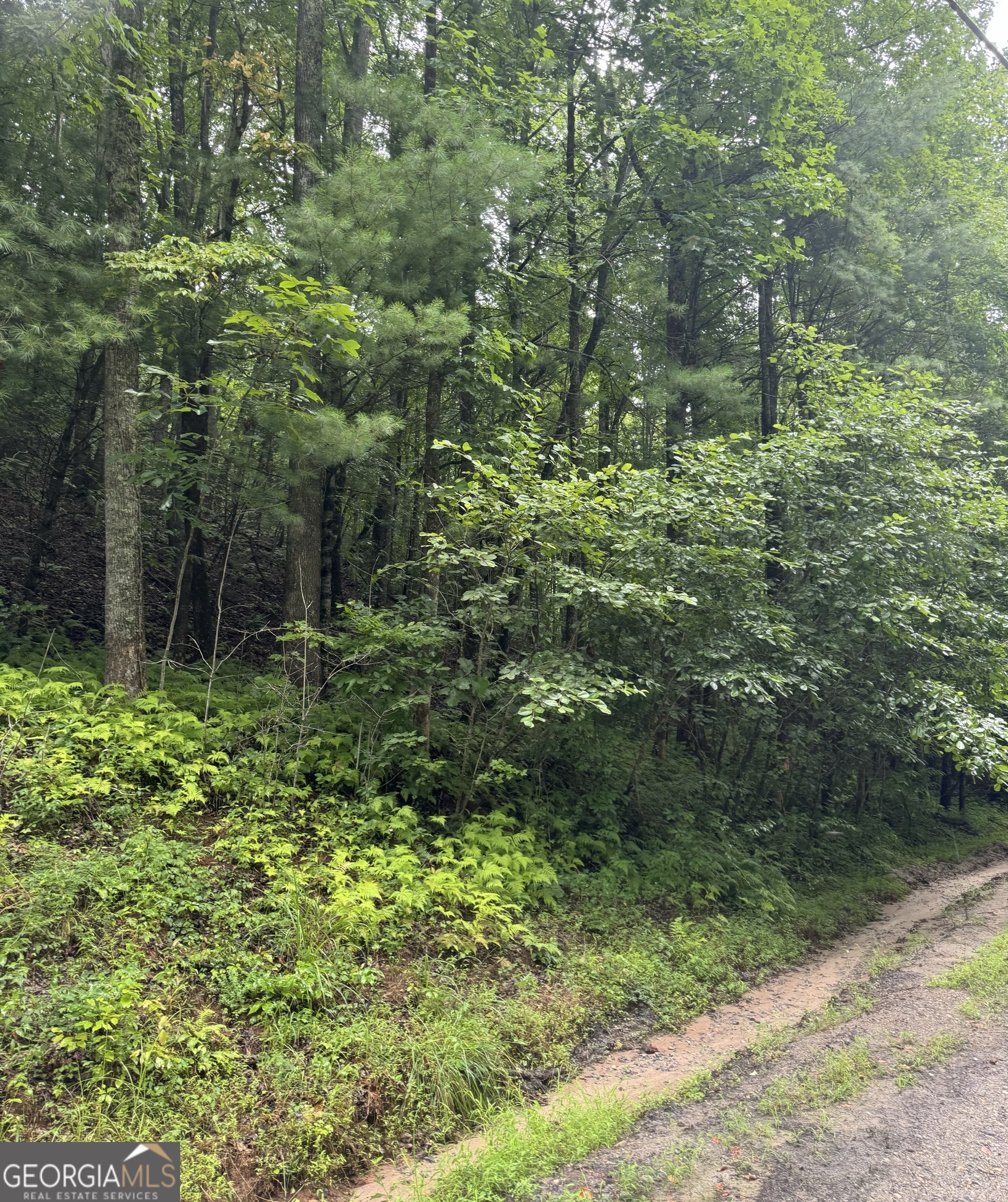 Lot 37 Eagle Talon Trail Property Photo 4
