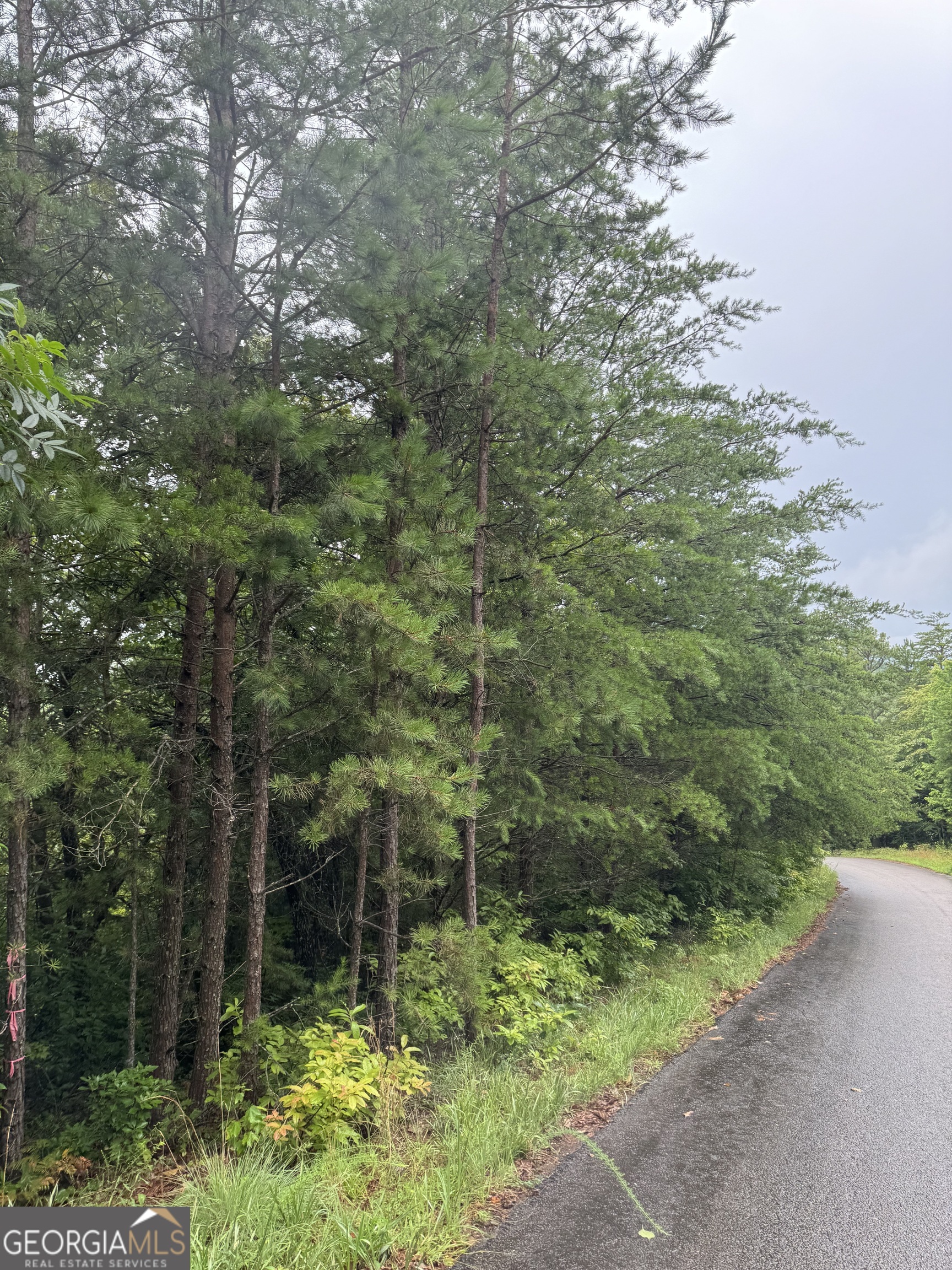 Lot 37 Eagle Talon Trail Property Photo 5