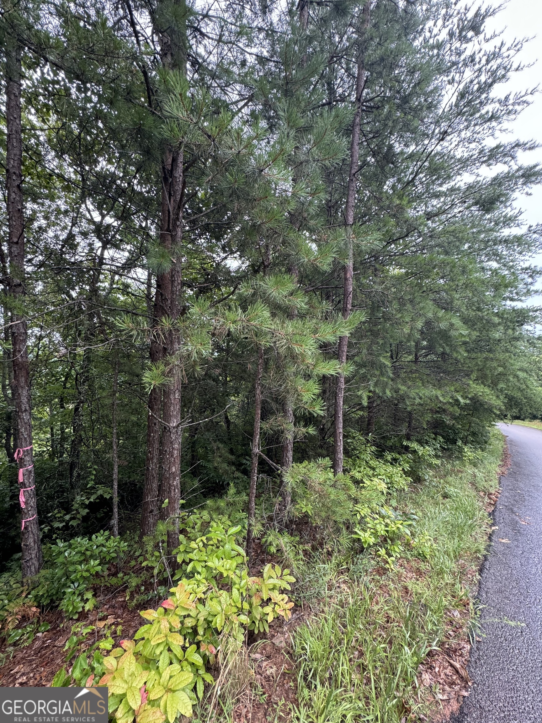 Lot 37 Eagle Talon Trail Property Photo 6