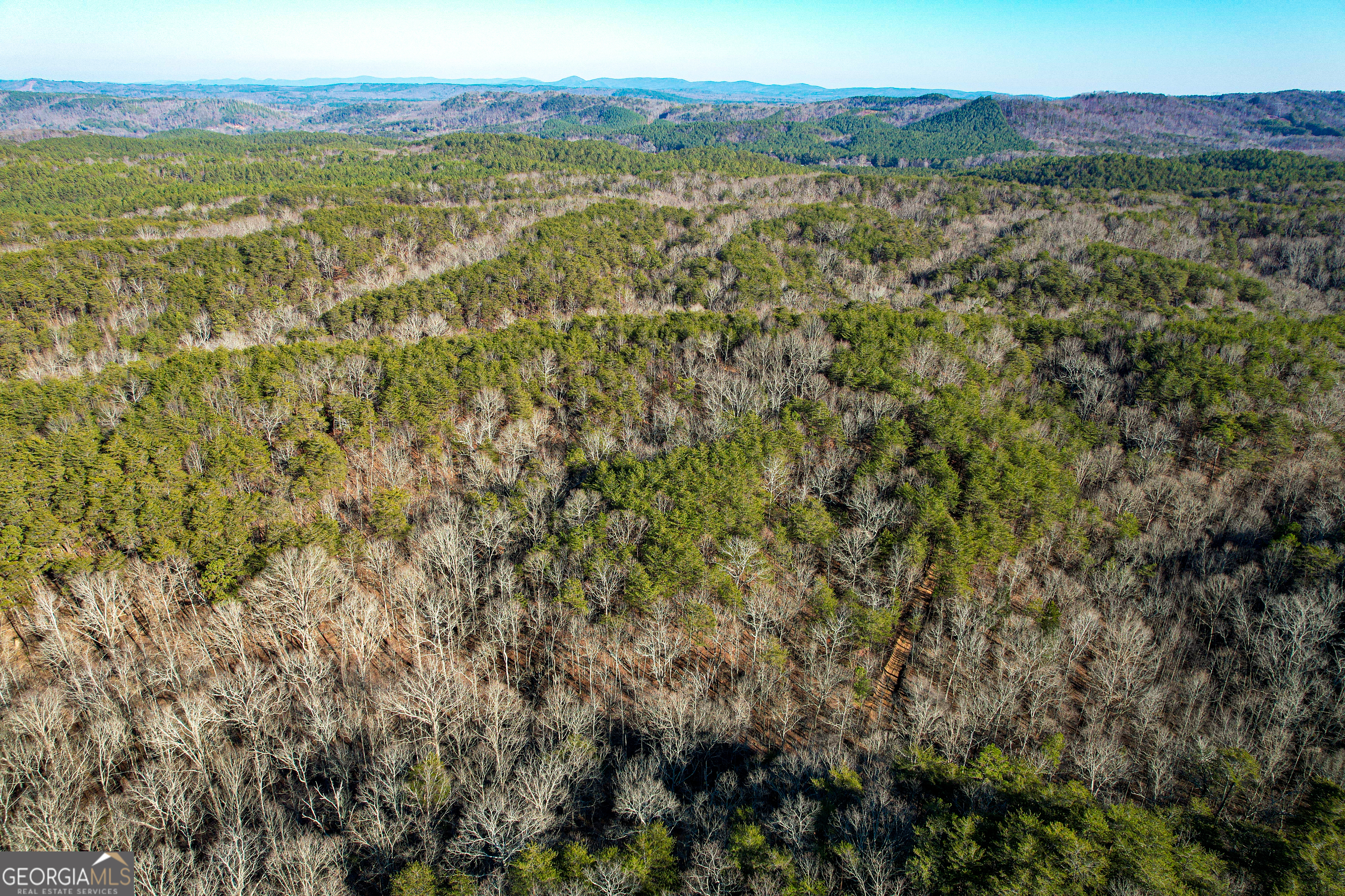176 +/- Acres On Arnold Road Property Photo