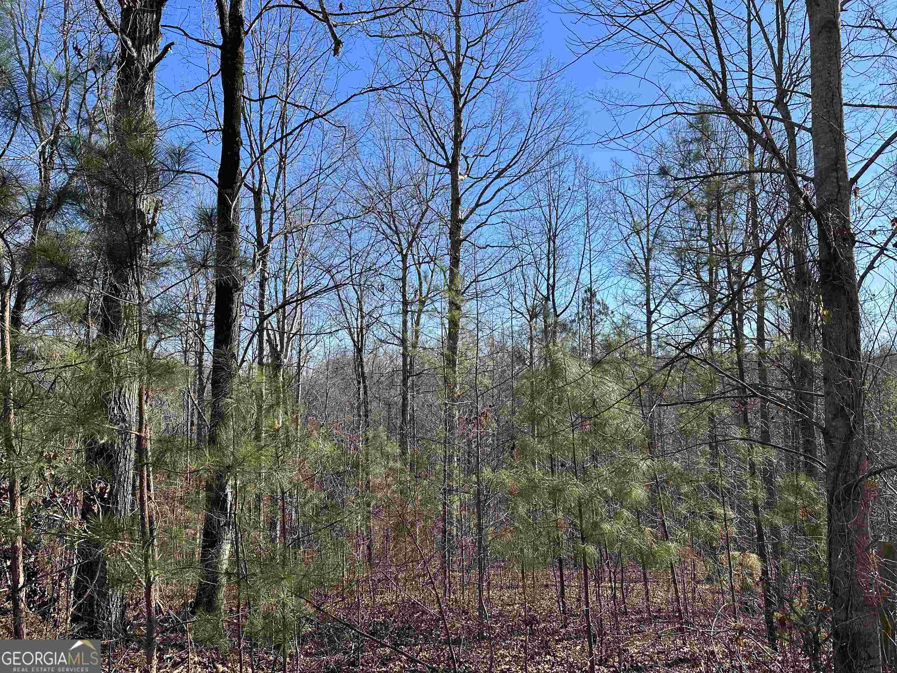 8970 Clark Road Property Photo 12