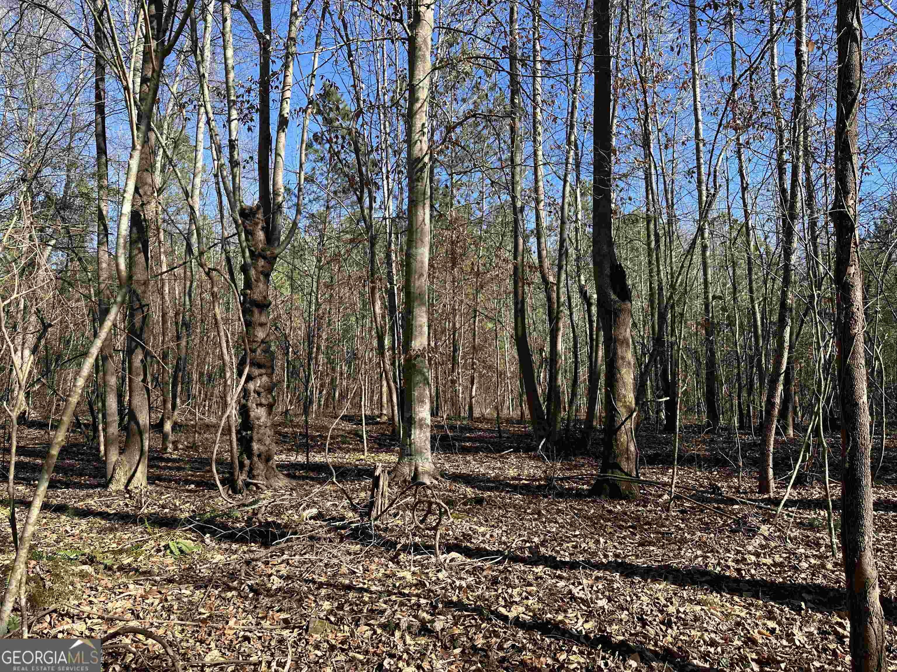 8970 Clark Road Property Photo 13