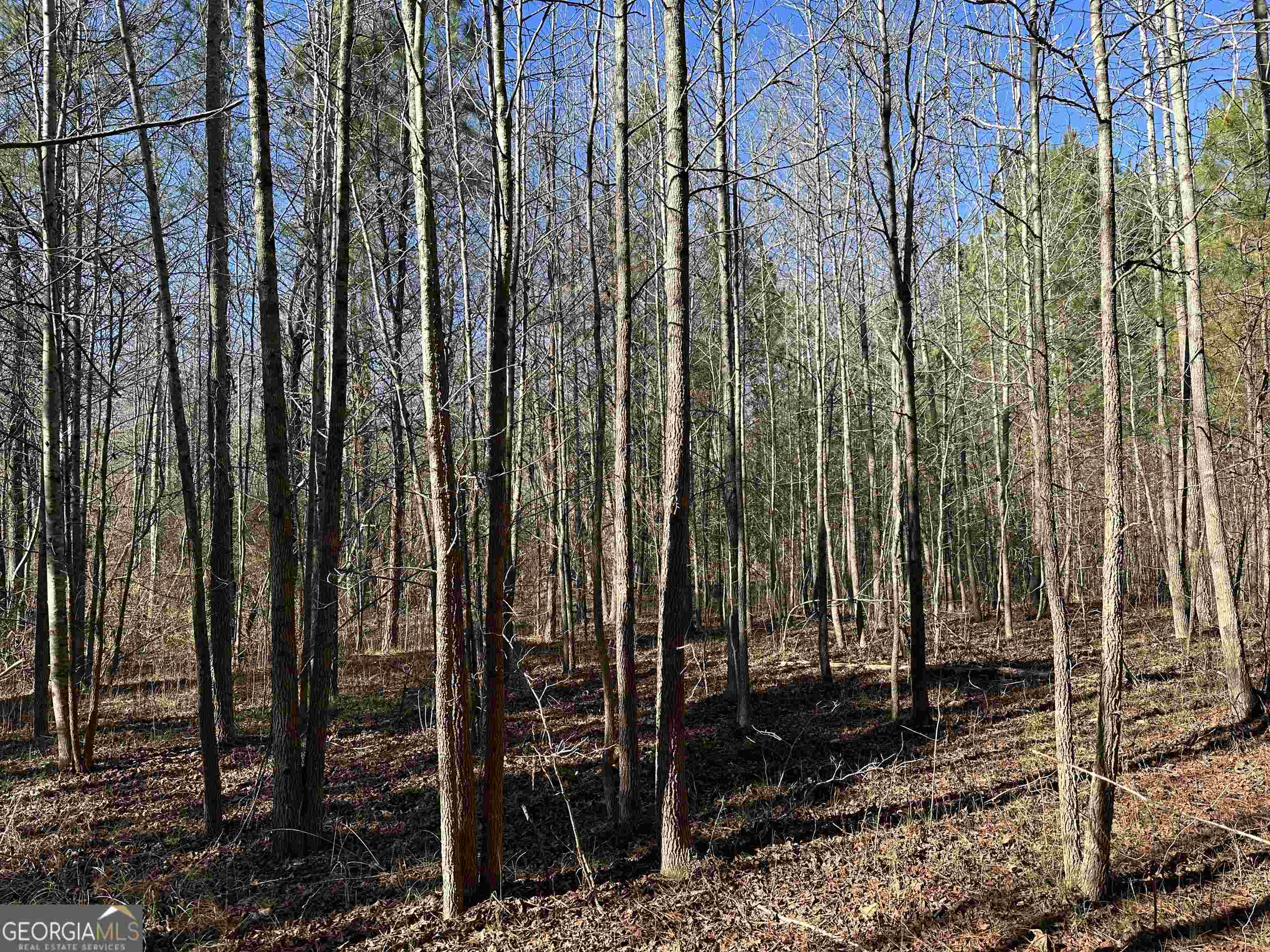8970 Clark Road Property Photo 14