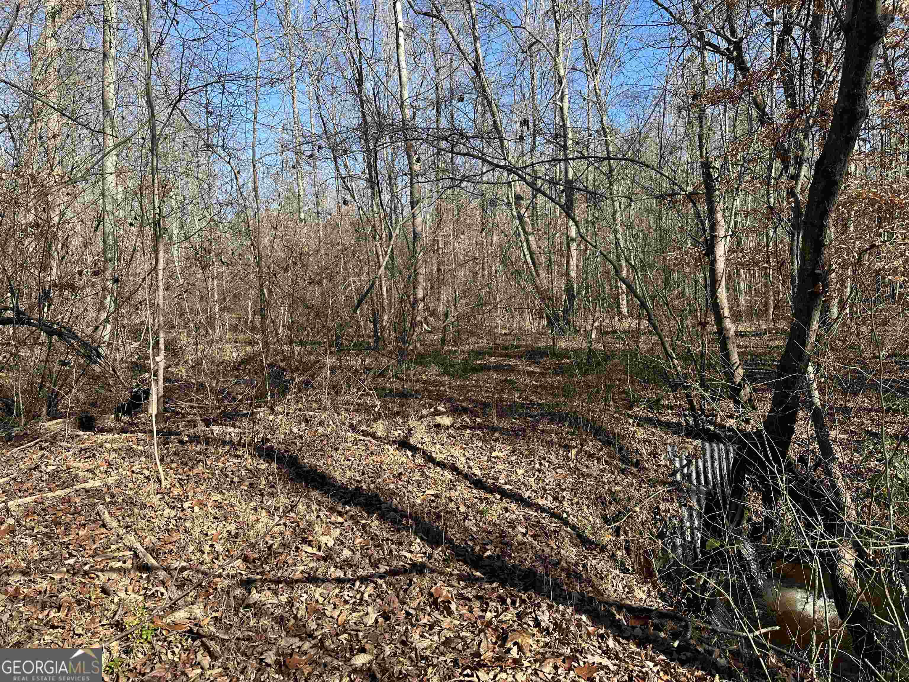 8970 Clark Road Property Photo 15
