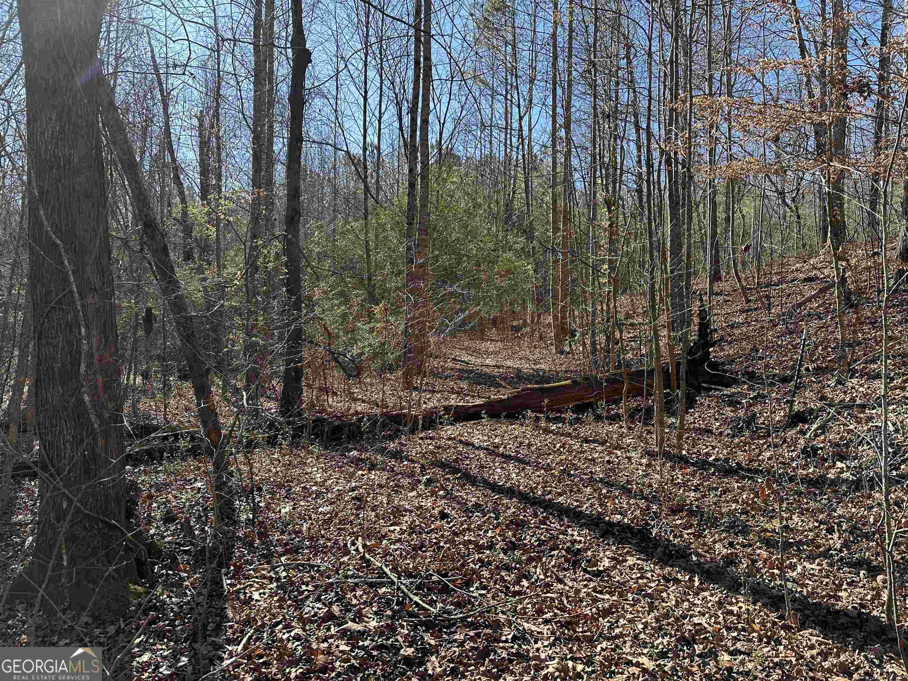 8970 Clark Road Property Photo 16