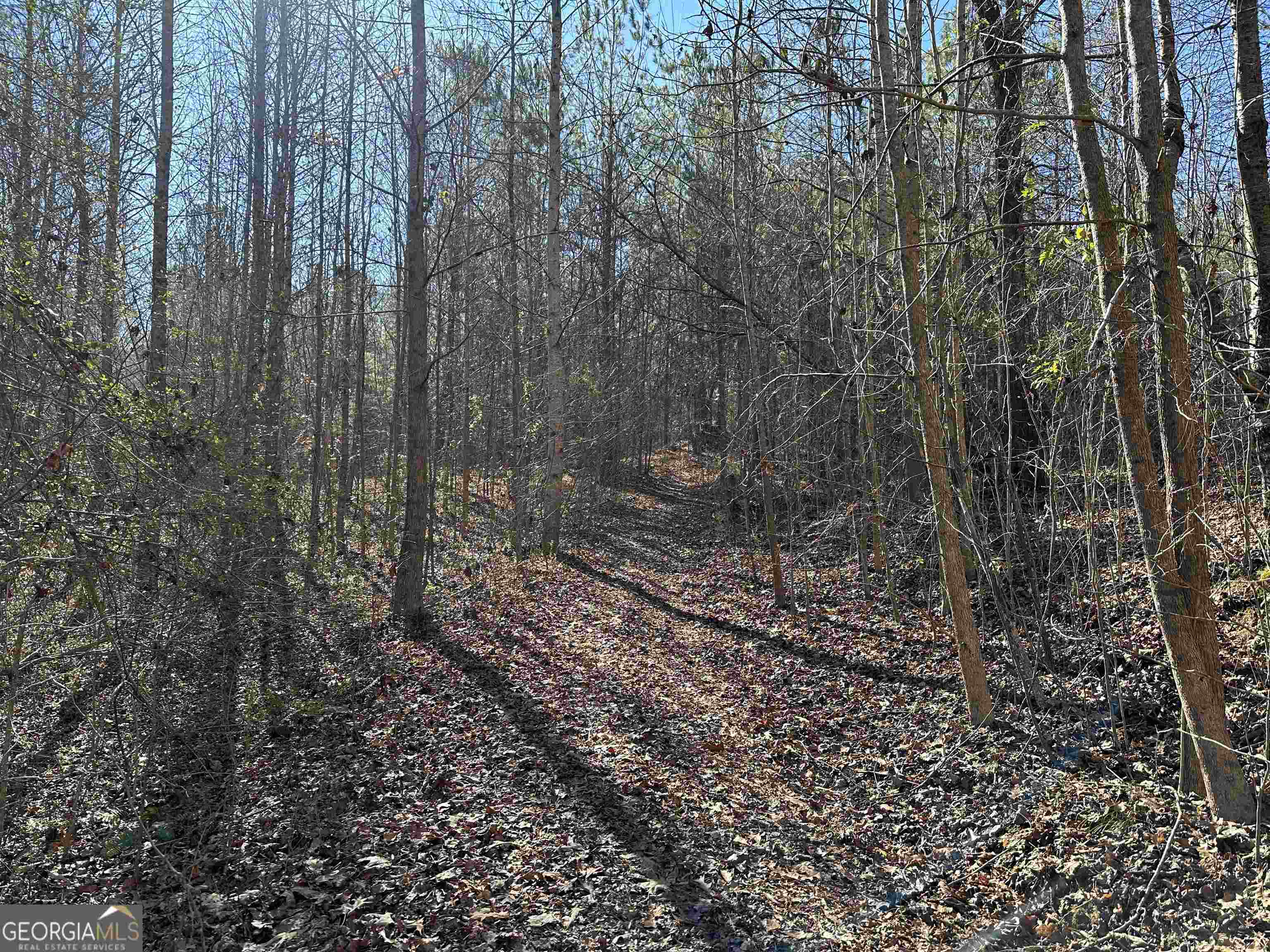 8970 Clark Road Property Photo 17