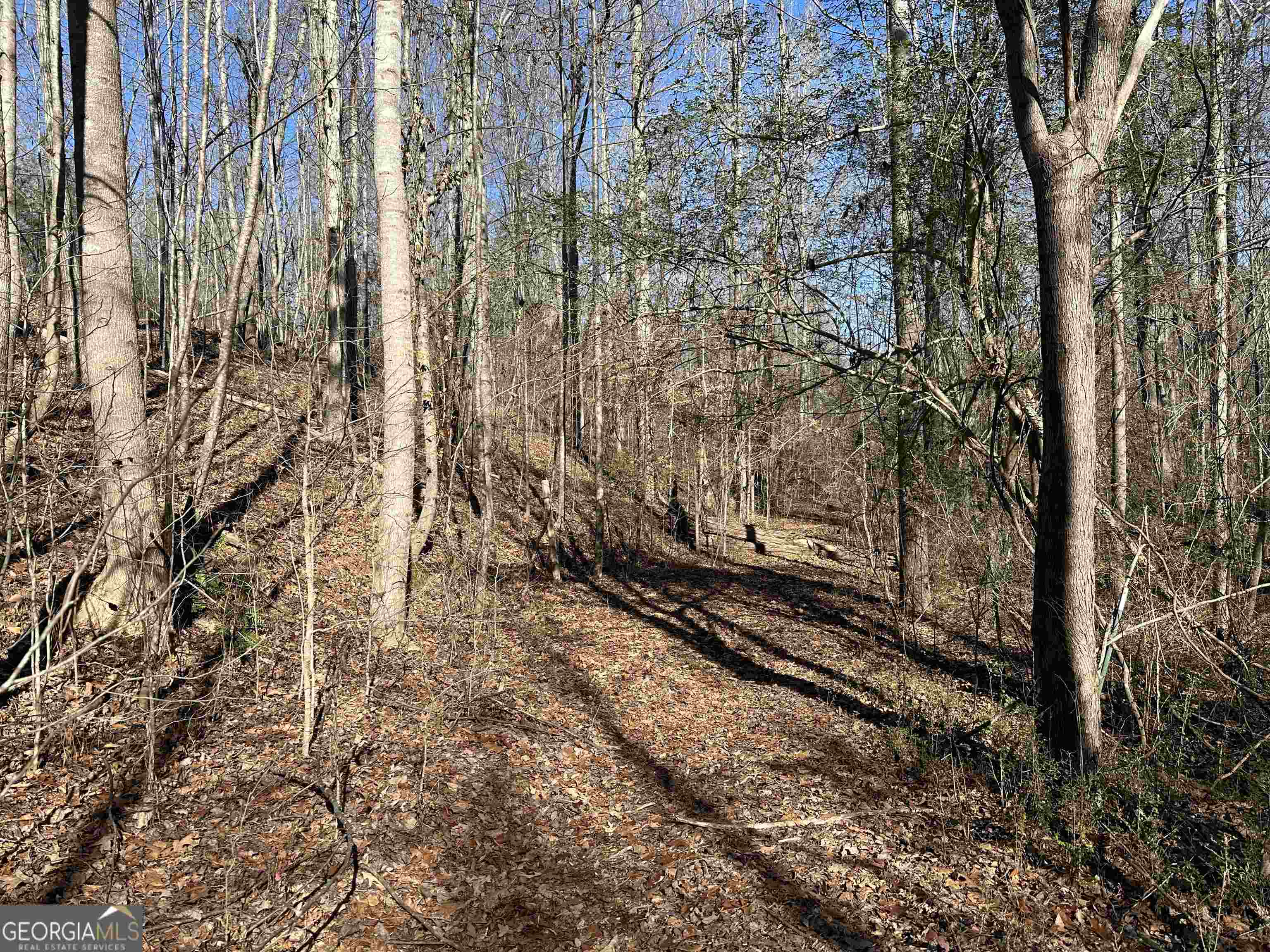 8970 Clark Road Property Photo 18