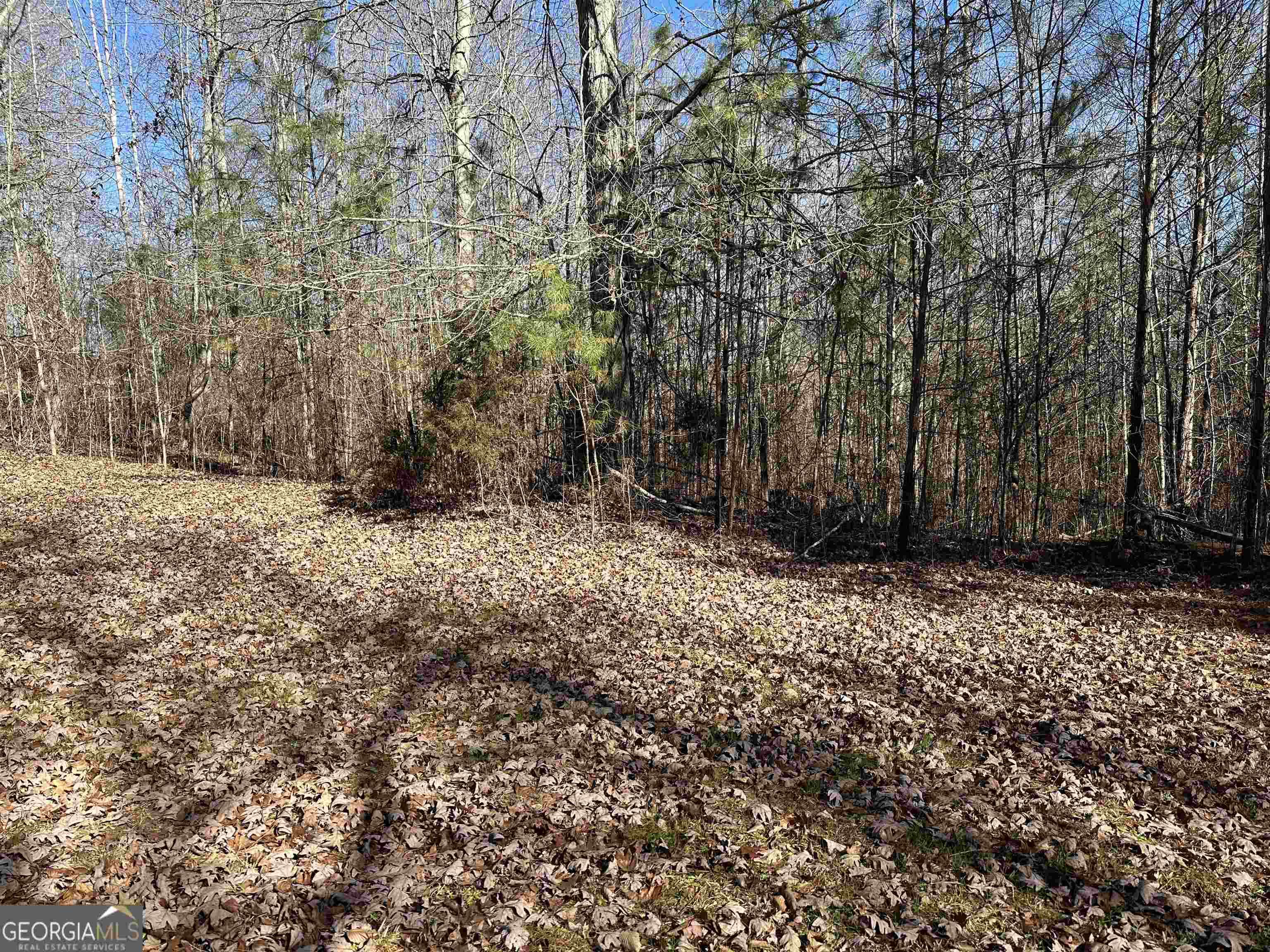 8970 Clark Road Property Photo 19