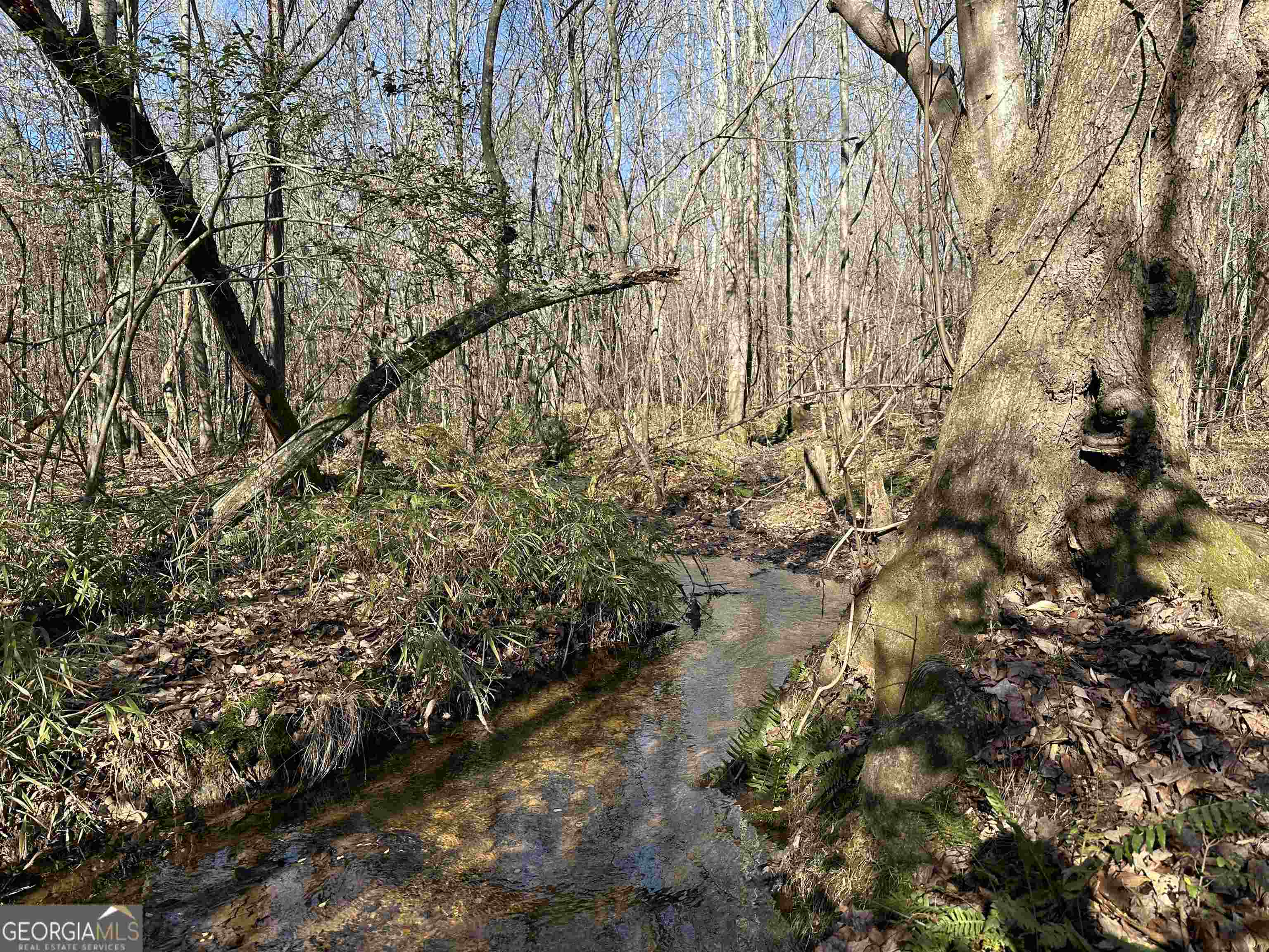 8970 Clark Road Property Photo 20