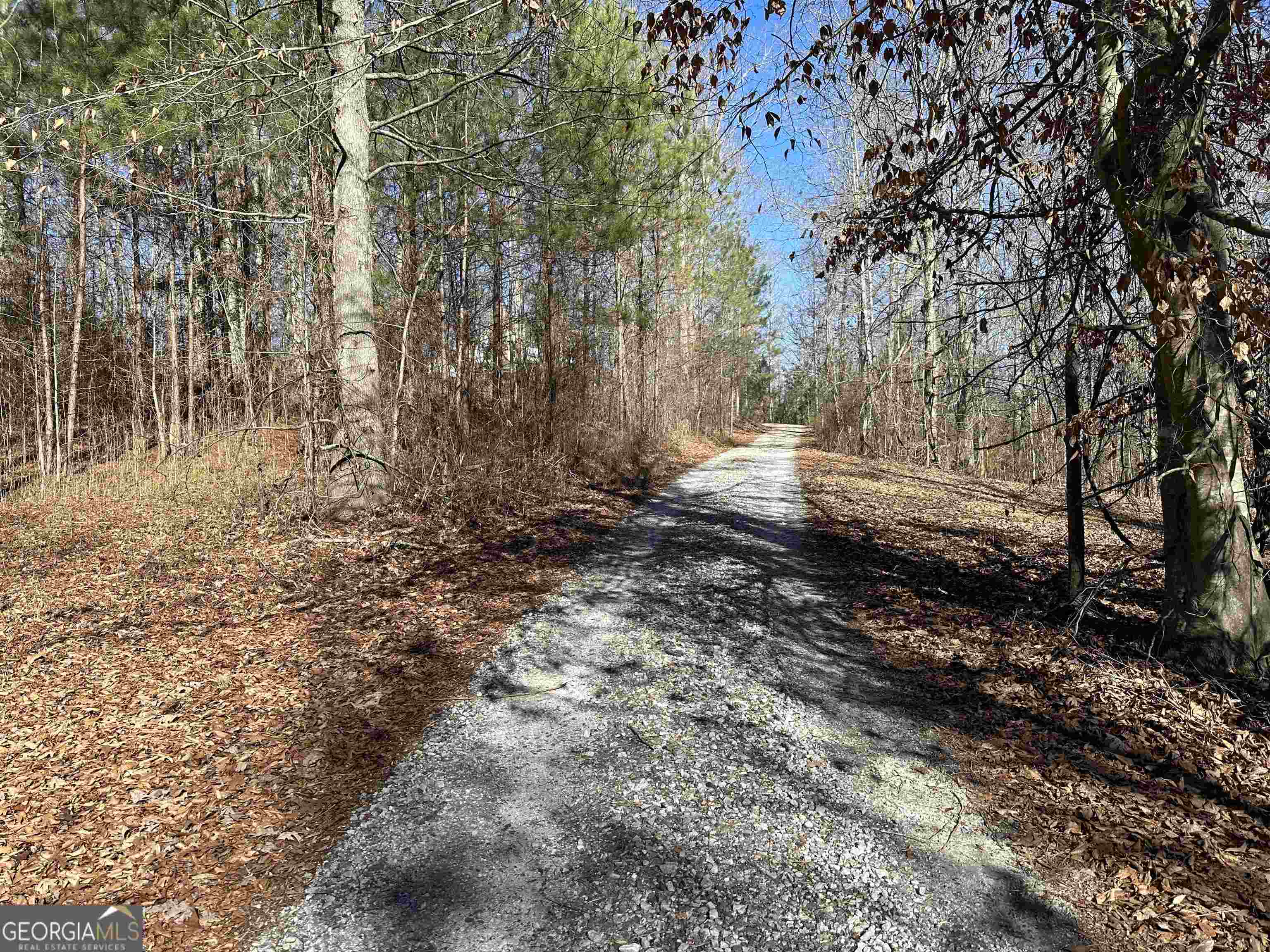 8970 Clark Road Property Photo 23