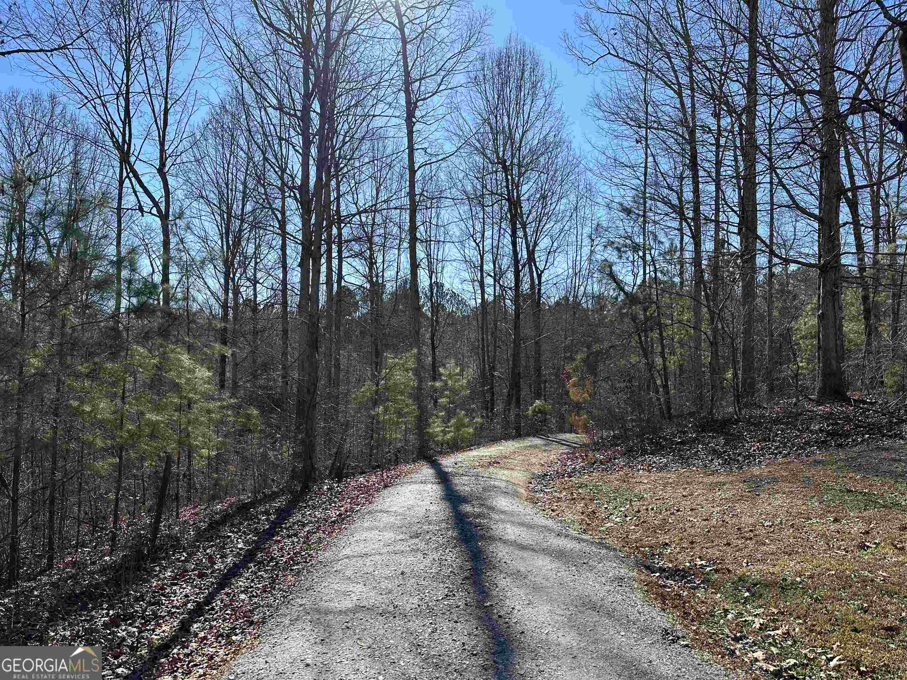 8970 Clark Road Property Photo 25