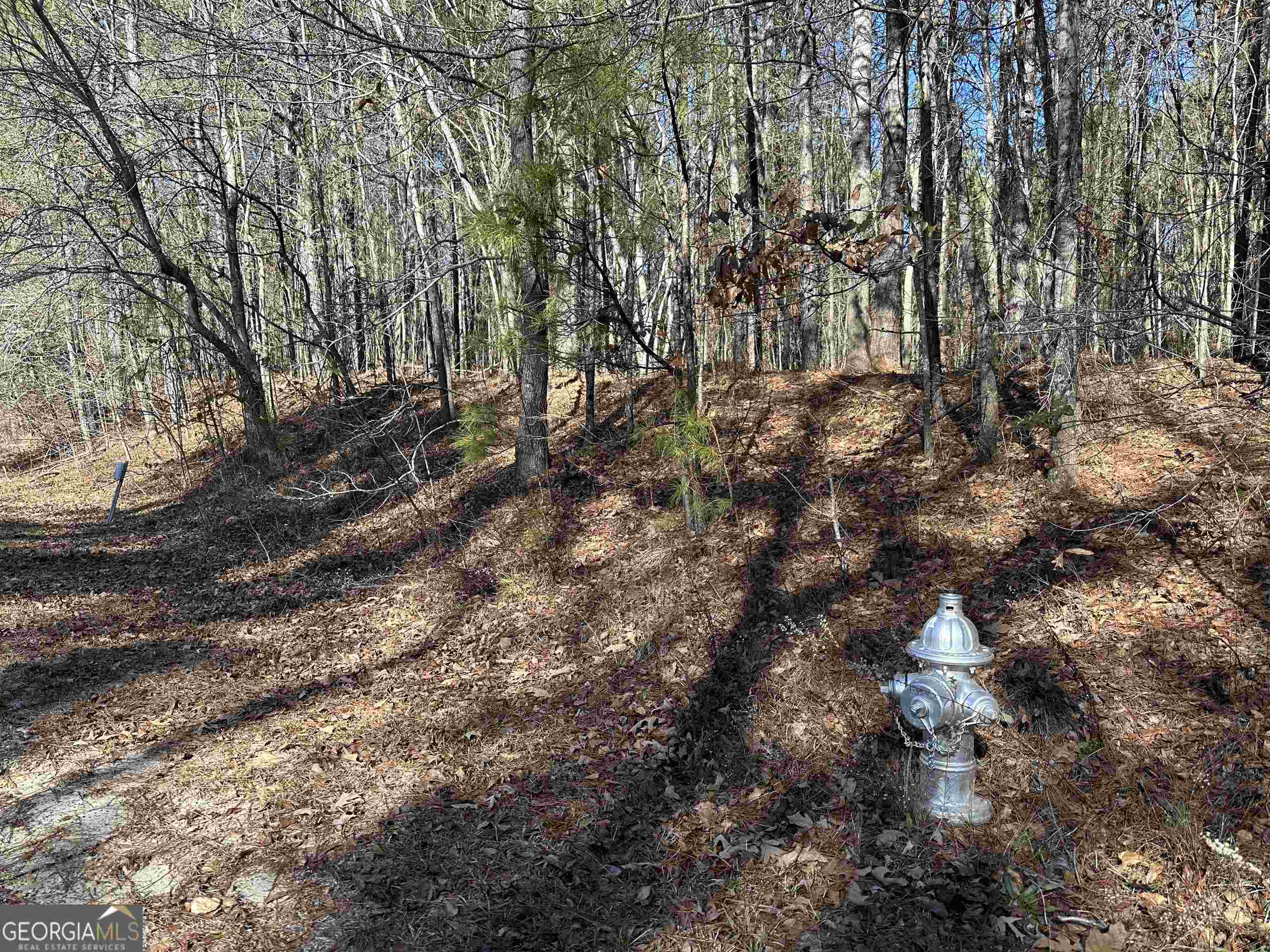 8970 Clark Road Property Photo 27
