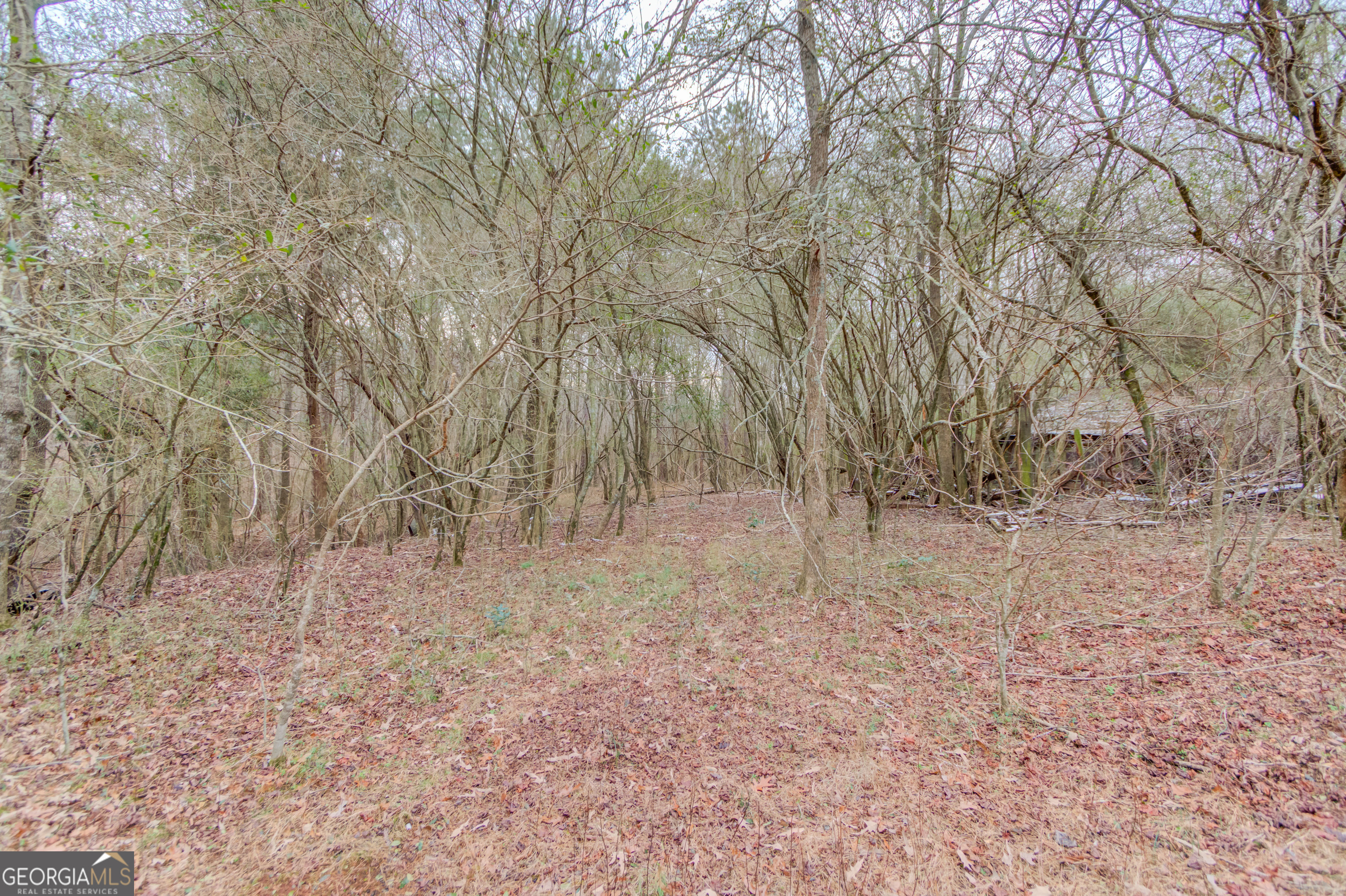 0 Abby Lane Property Photo 15