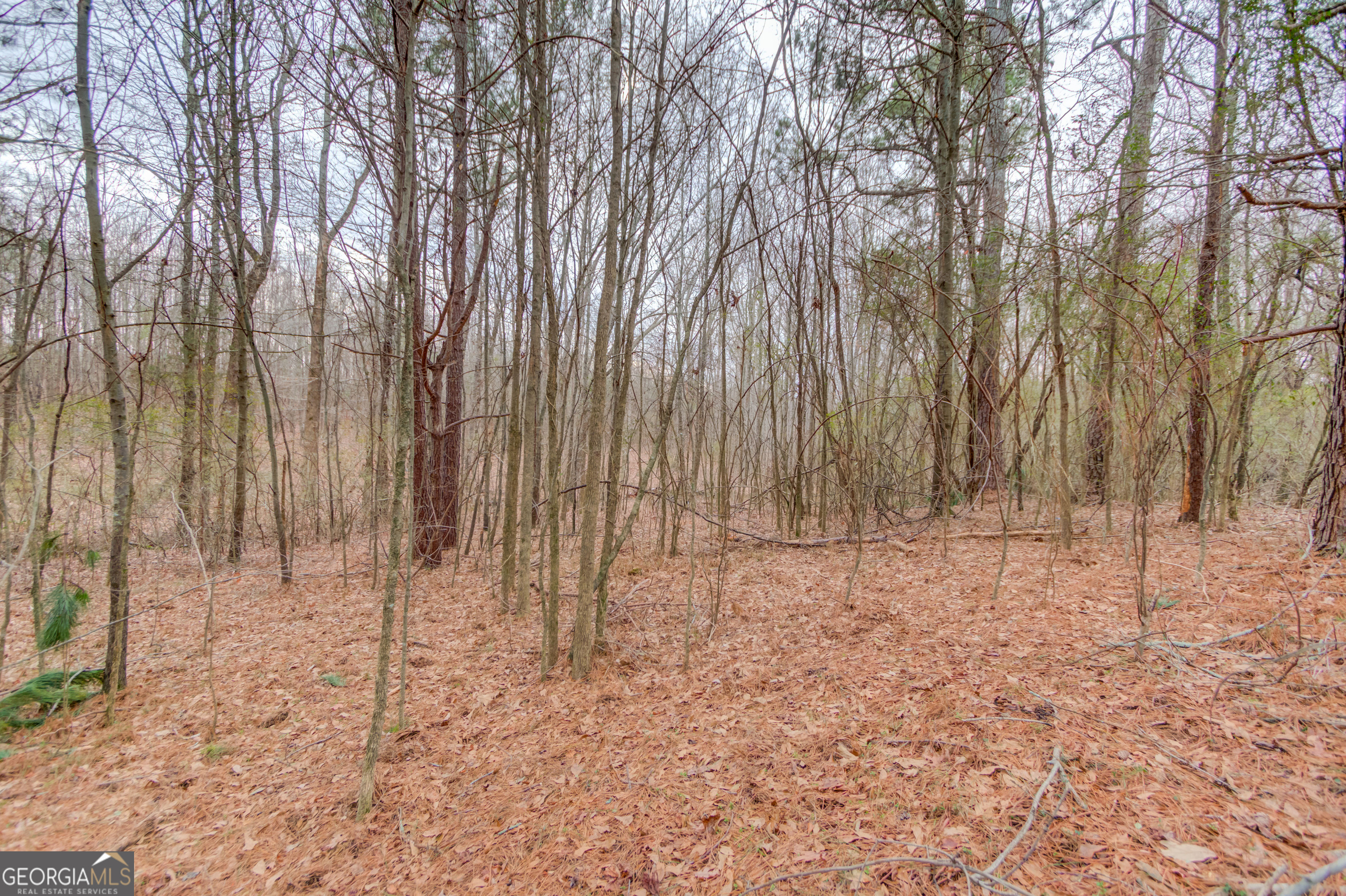 0 Abby Lane Property Photo 17