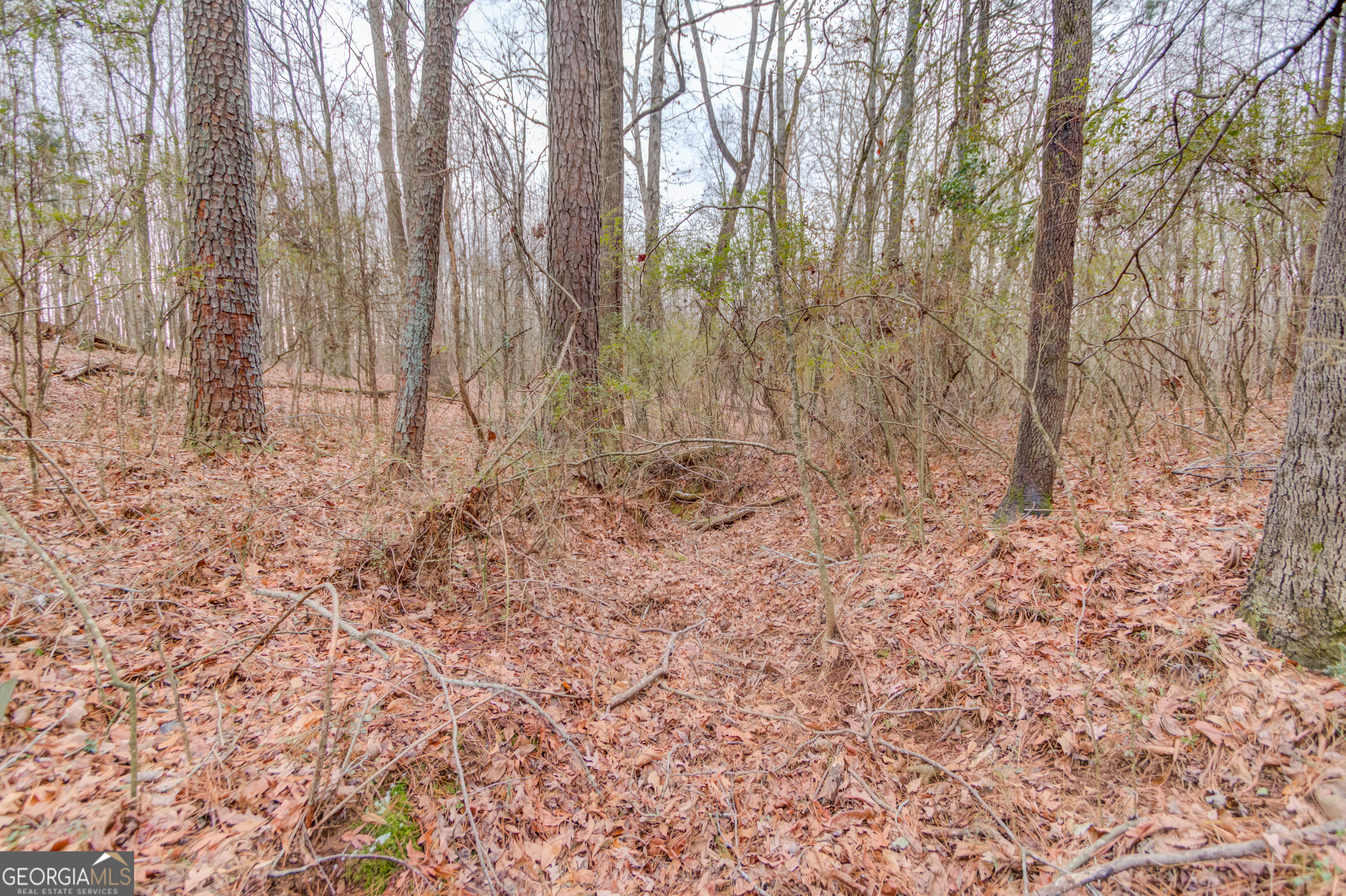 0 Abby Lane Property Photo 19