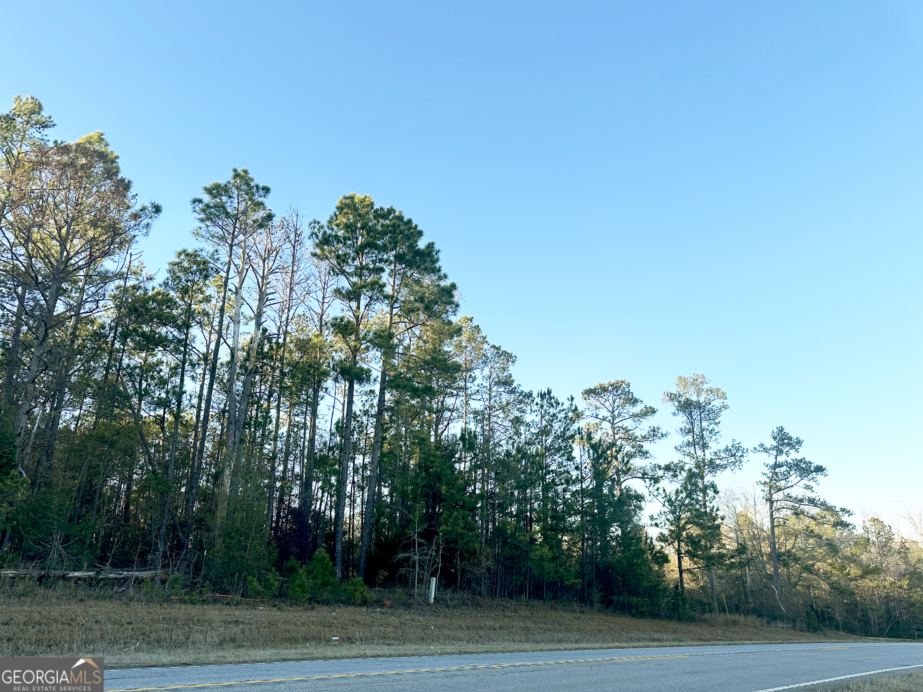 1051 Highway 39 S Property Photo