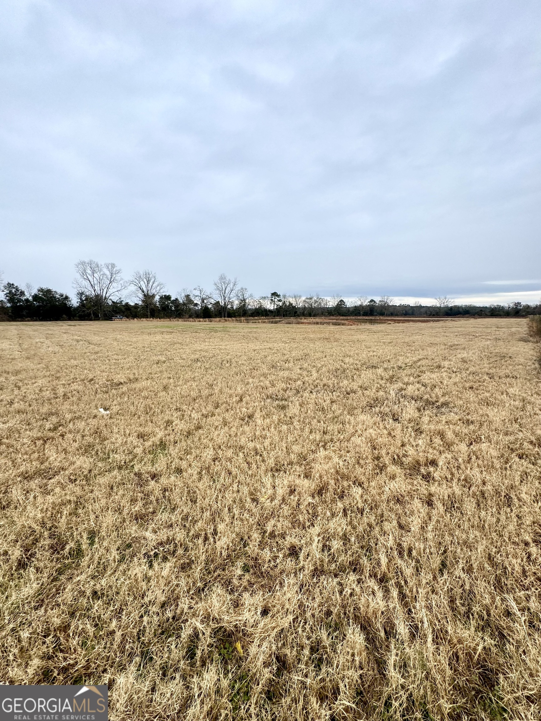 0 R P Miller Road Property Photo 4