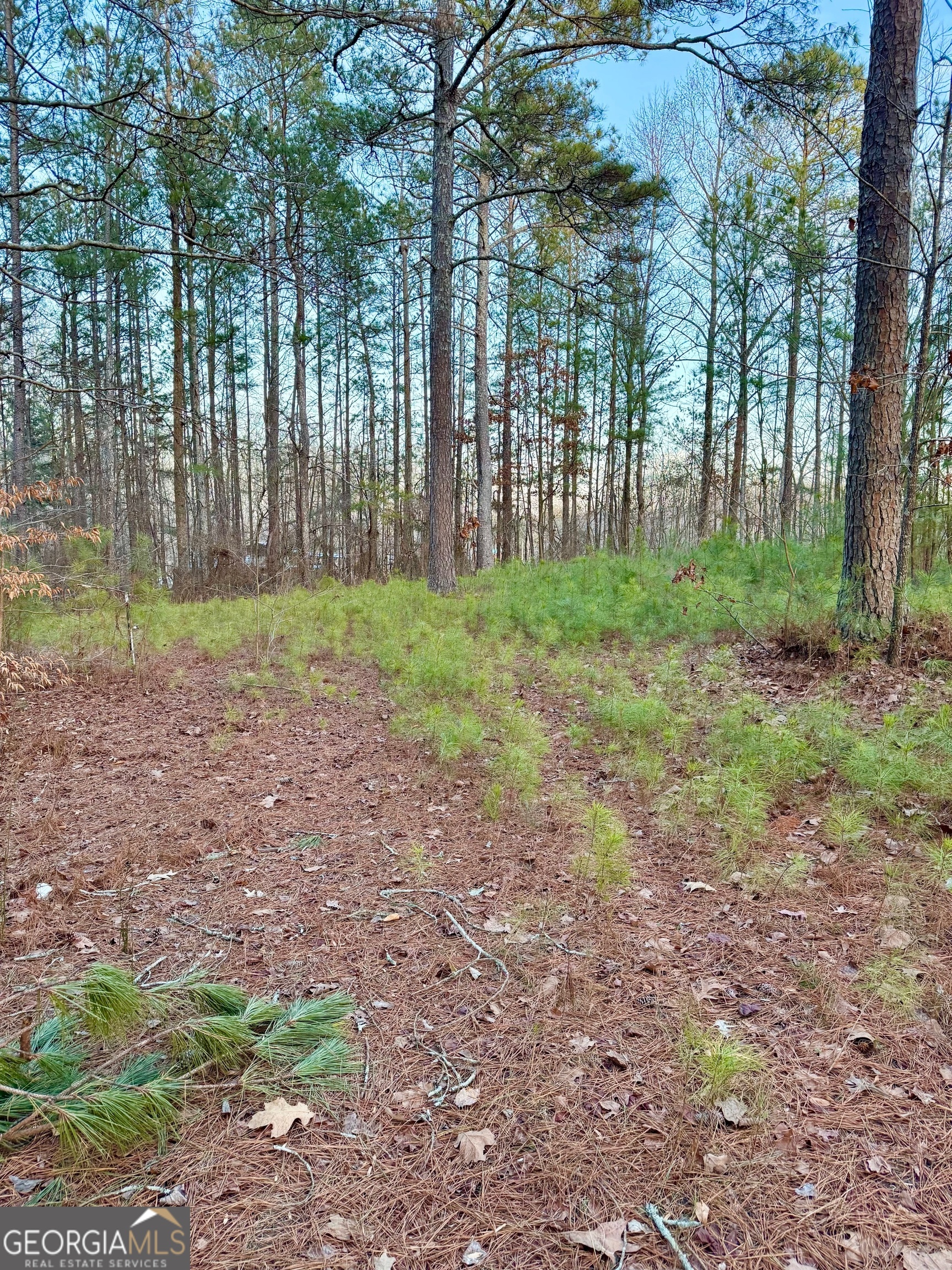 168 Faulkner Road Property Photo