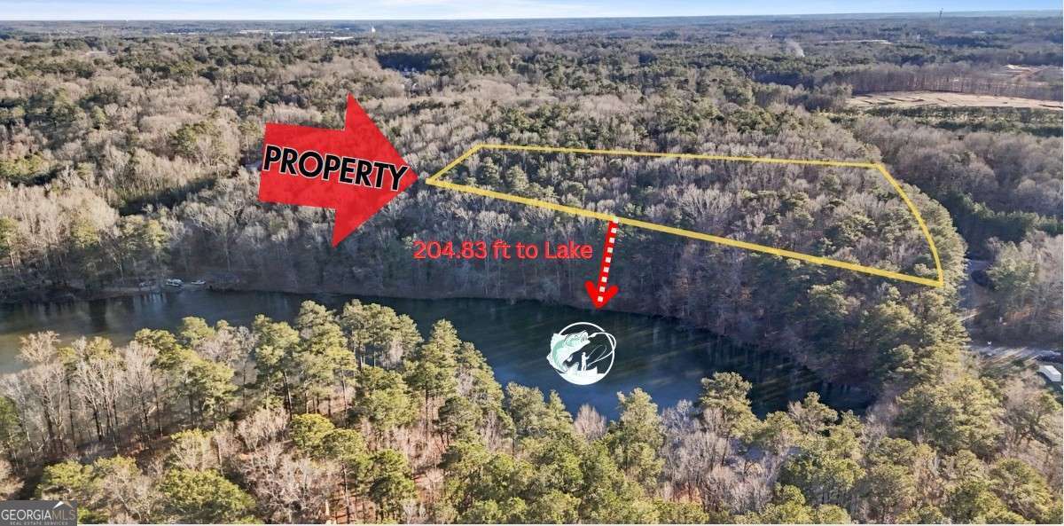 0 Lower Dixie Lake Road Property Photo 2