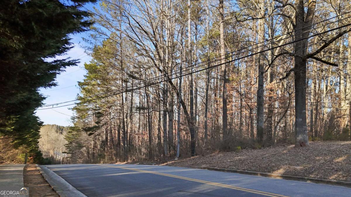 0 Lower Dixie Lake Road Property Photo 11