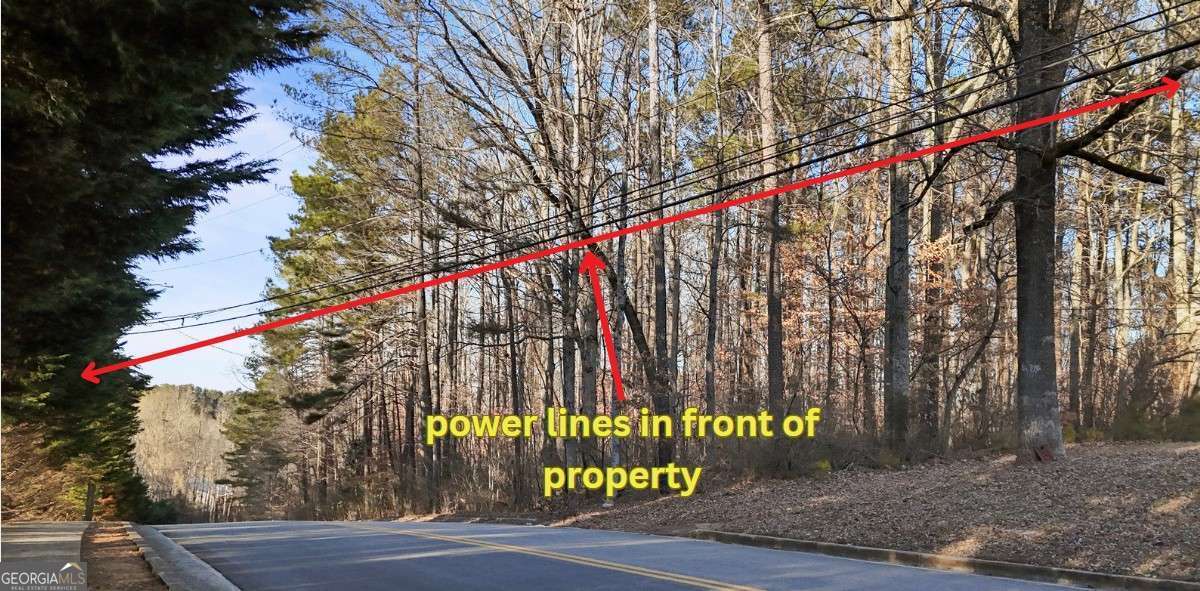 0 Lower Dixie Lake Road Property Photo 14