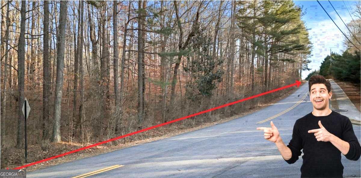 0 Lower Dixie Lake Road Property Photo 15