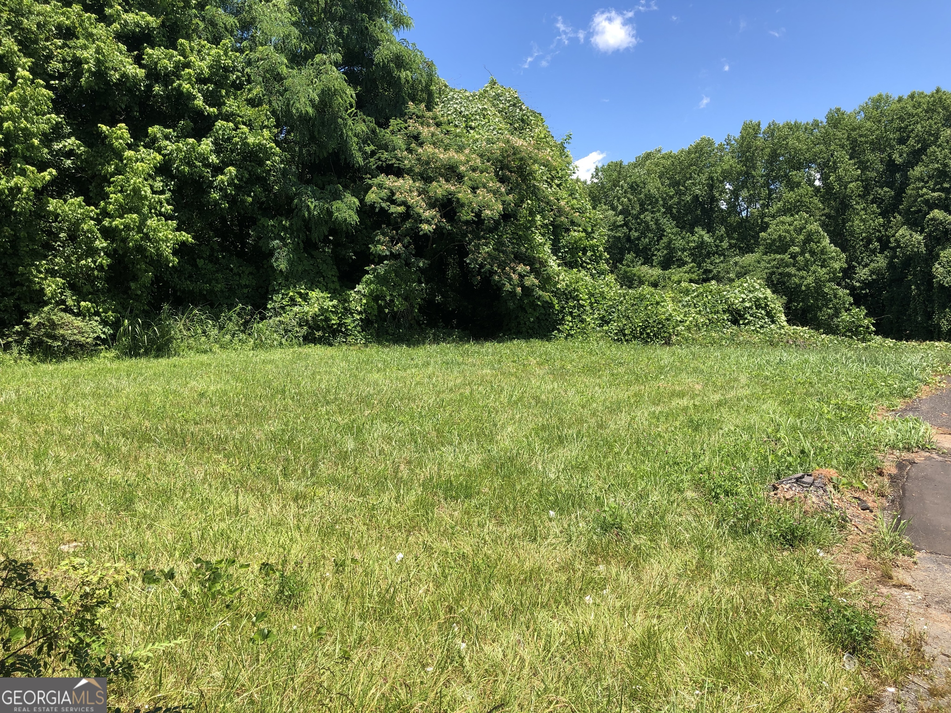 0 Clarkesville Plaza Property Photo 5