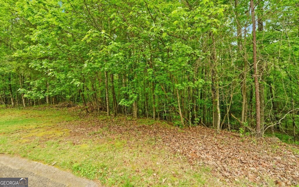 0 Honey Tree Terrace Property Photo 5