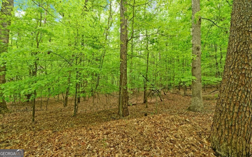 0 Honey Tree Terrace Property Photo 9