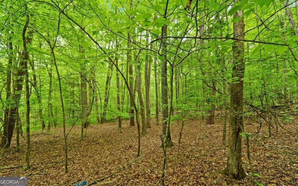 0 Honey Tree Terrace Property Photo 10