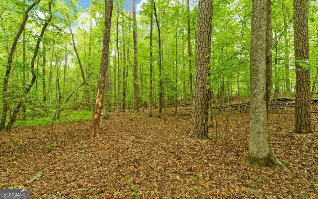 0 Honey Tree Terrace Property Photo 11