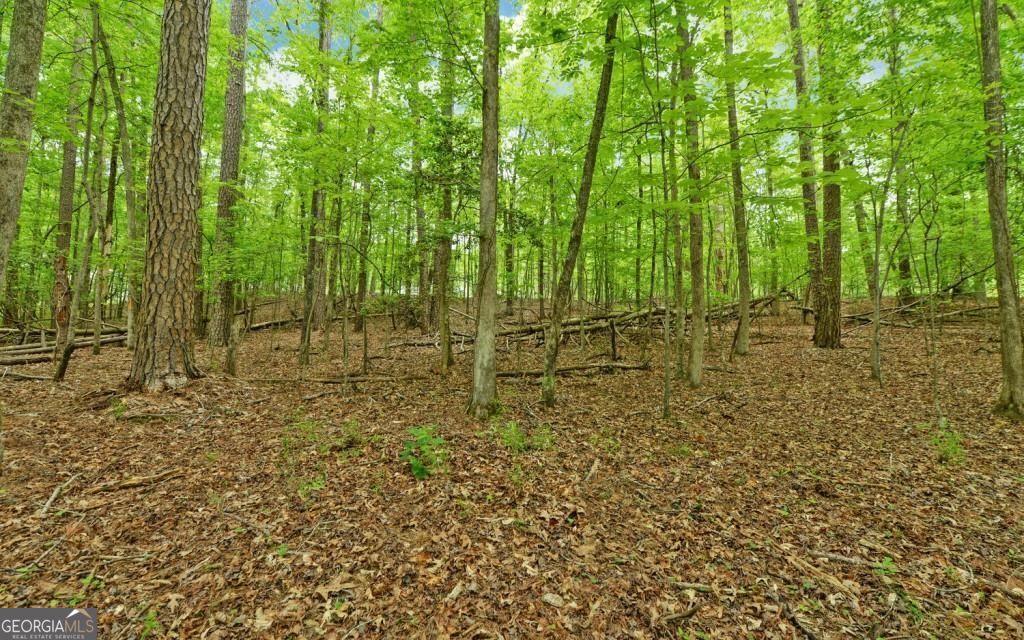 0 Honey Tree Terrace Property Photo 12