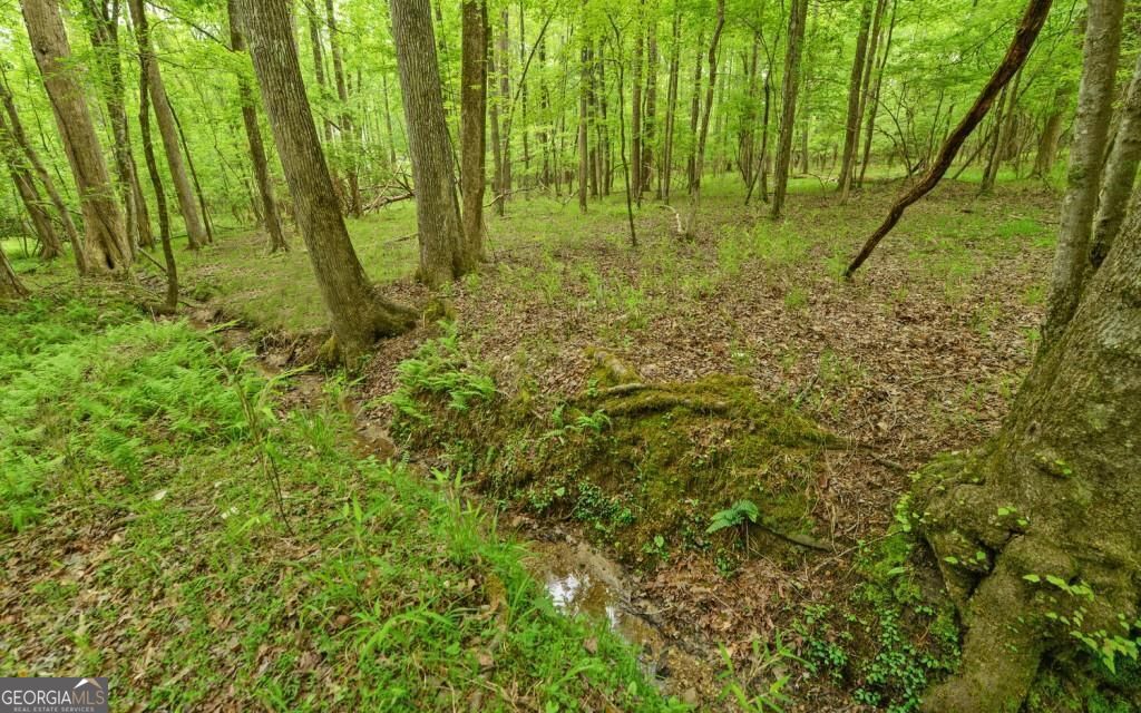 0 Honey Tree Terrace Property Photo 16