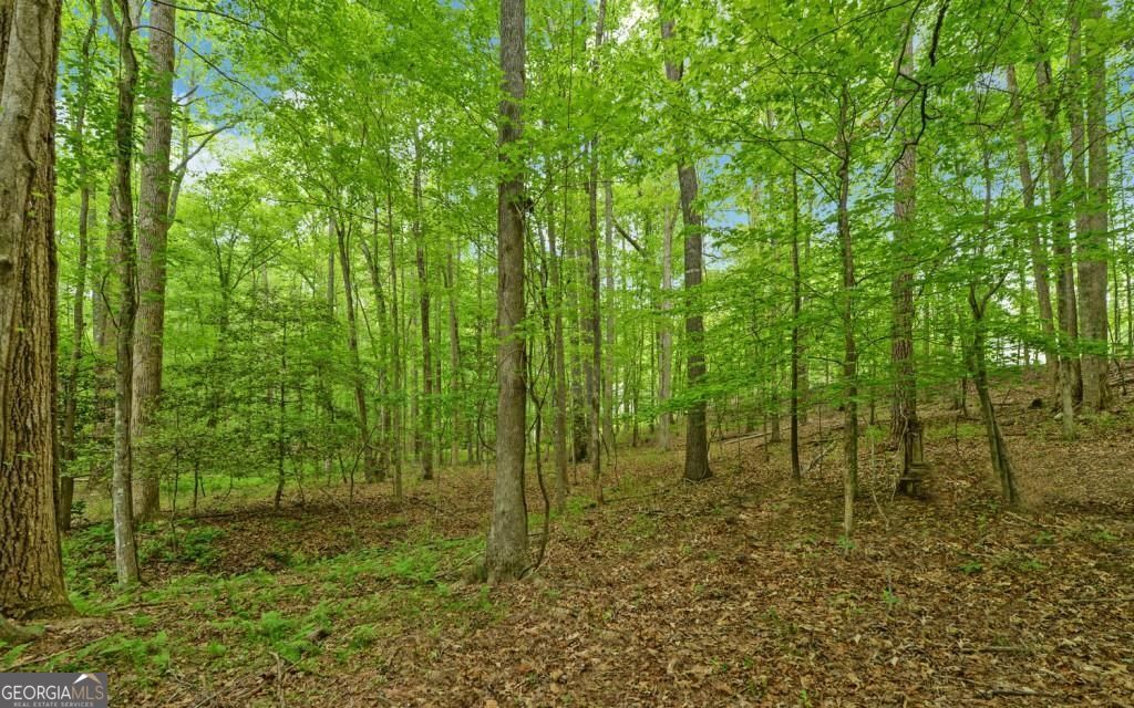 0 Honey Tree Terrace Property Photo 18