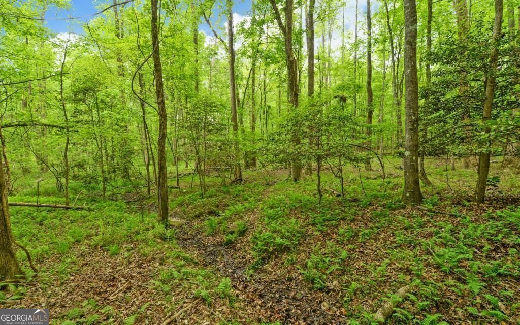 0 Honey Tree Terrace Property Photo 19