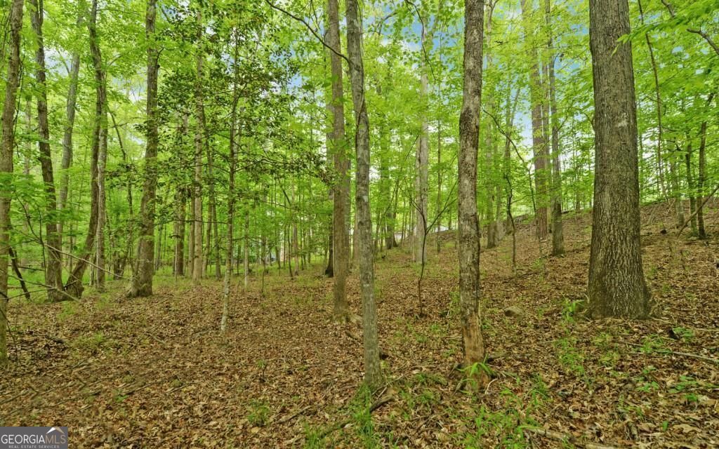 0 Honey Tree Terrace Property Photo 20