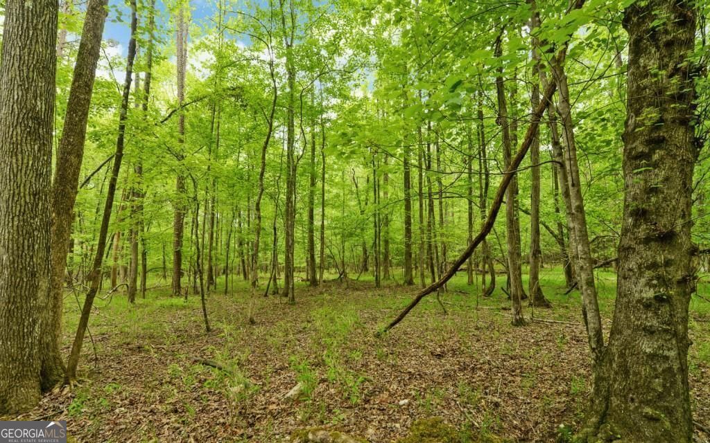 0 Honey Tree Terrace Property Photo 21