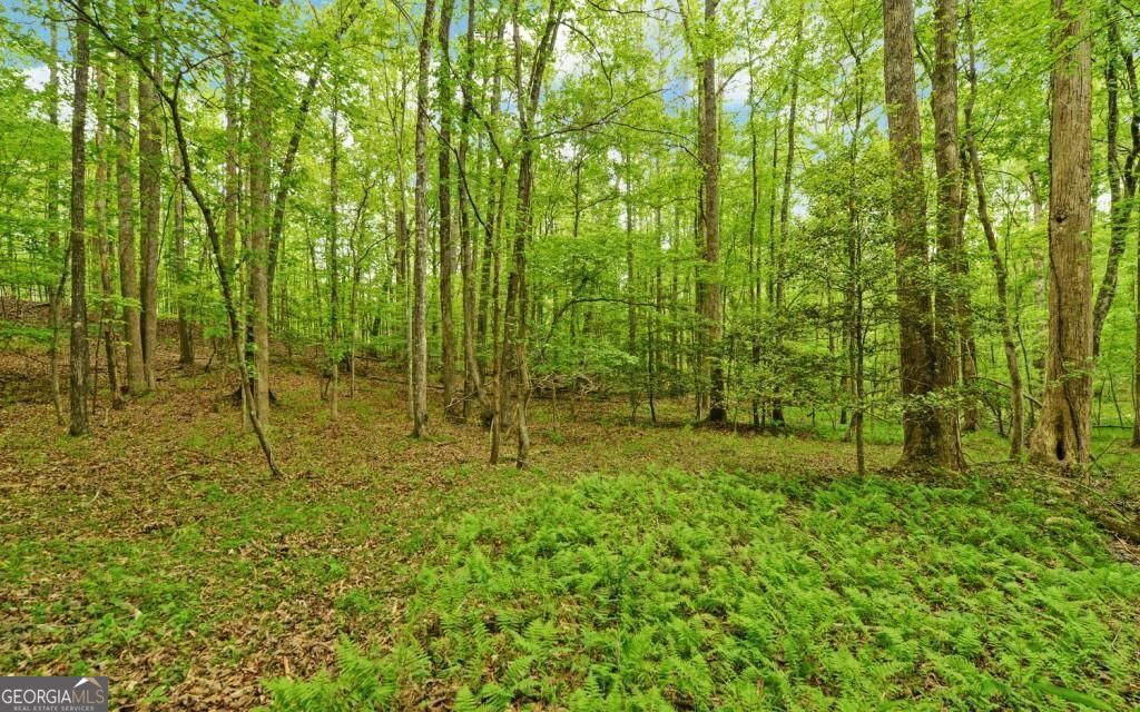 0 Honey Tree Terrace Property Photo 22